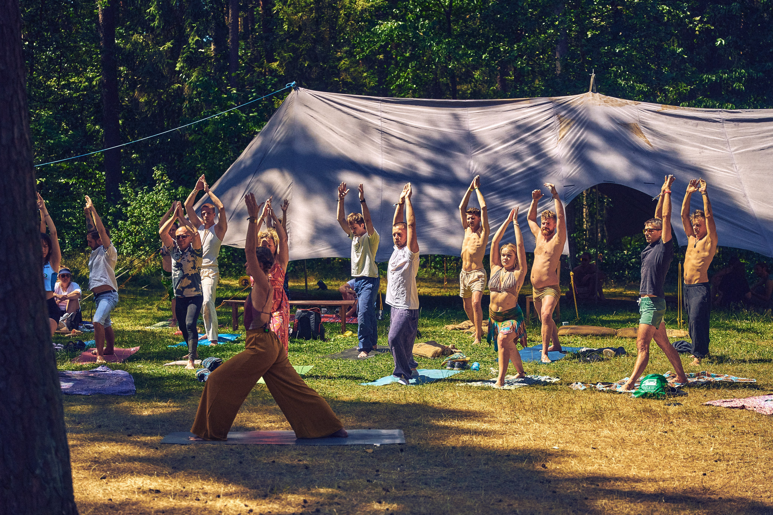 Organic-2025. Andriej Szypilow — Photography & Videography