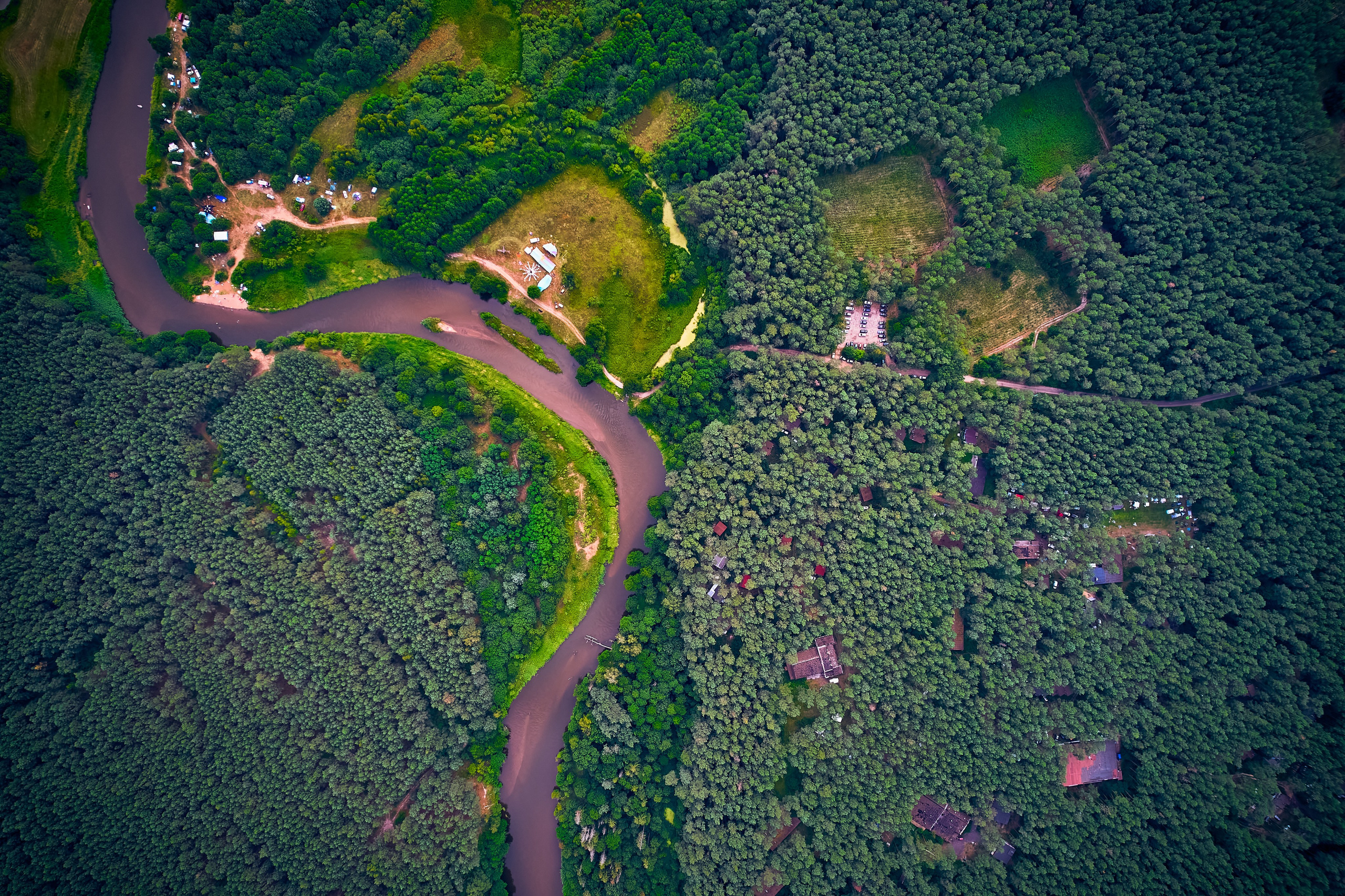 Organic Festival 2024. Andriej Szypilow — Photography & Videography