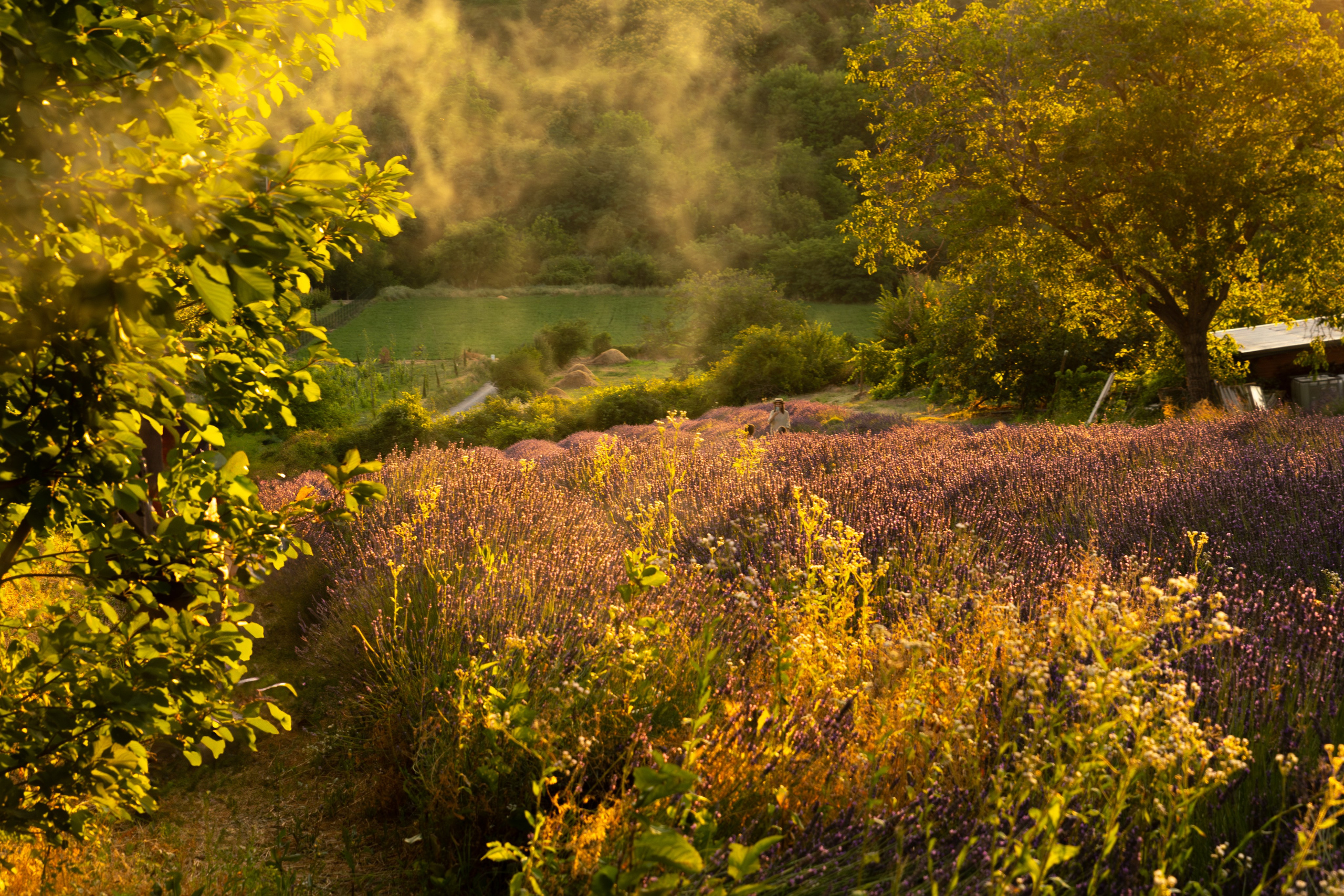 Victoria Fedoseenko. Photographer from Serbia