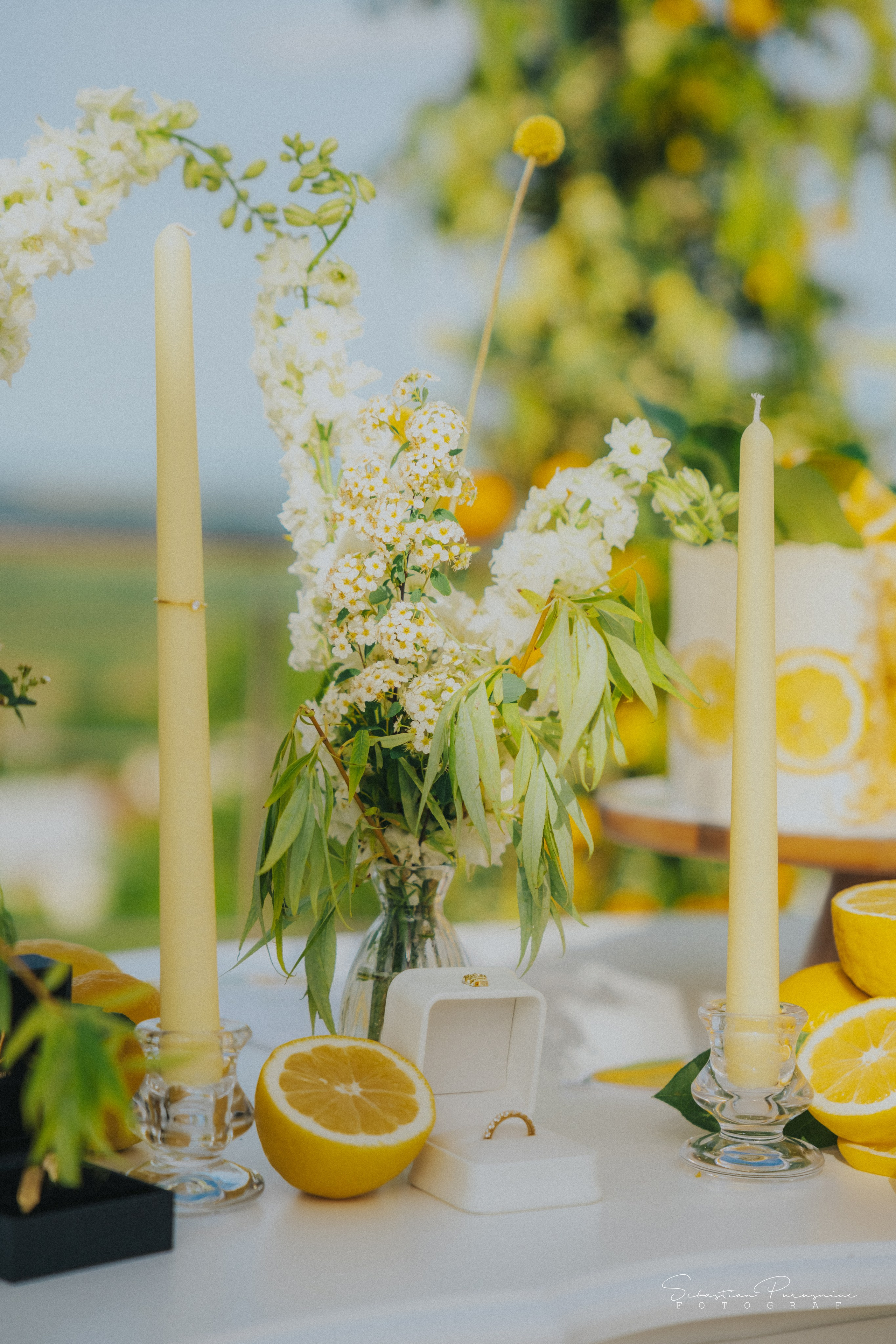 Love & Lemons. Sebastian Purusniuc Fotograf - Iasi