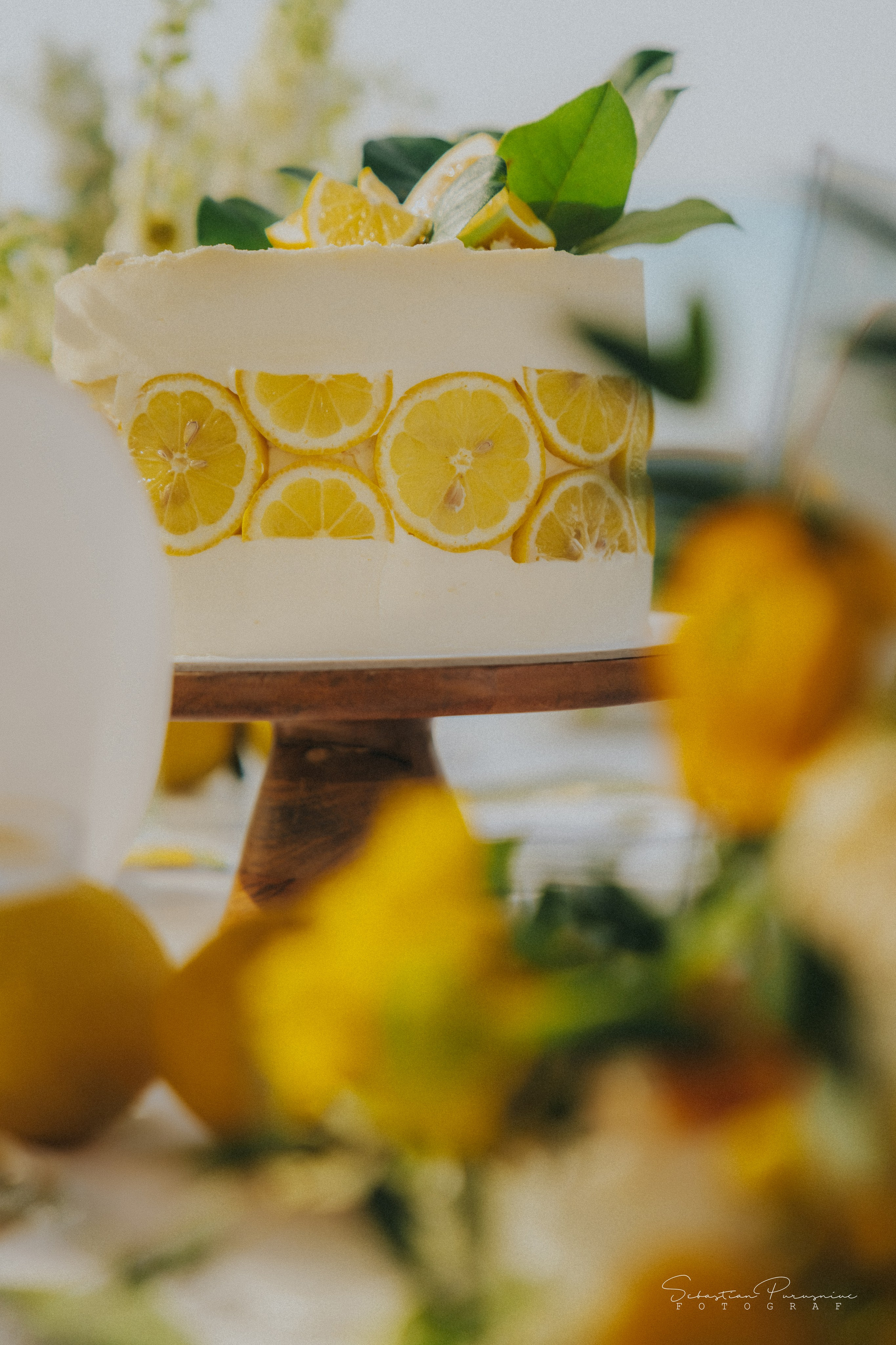 Love & Lemons. Sebastian Purusniuc Fotograf - Iasi