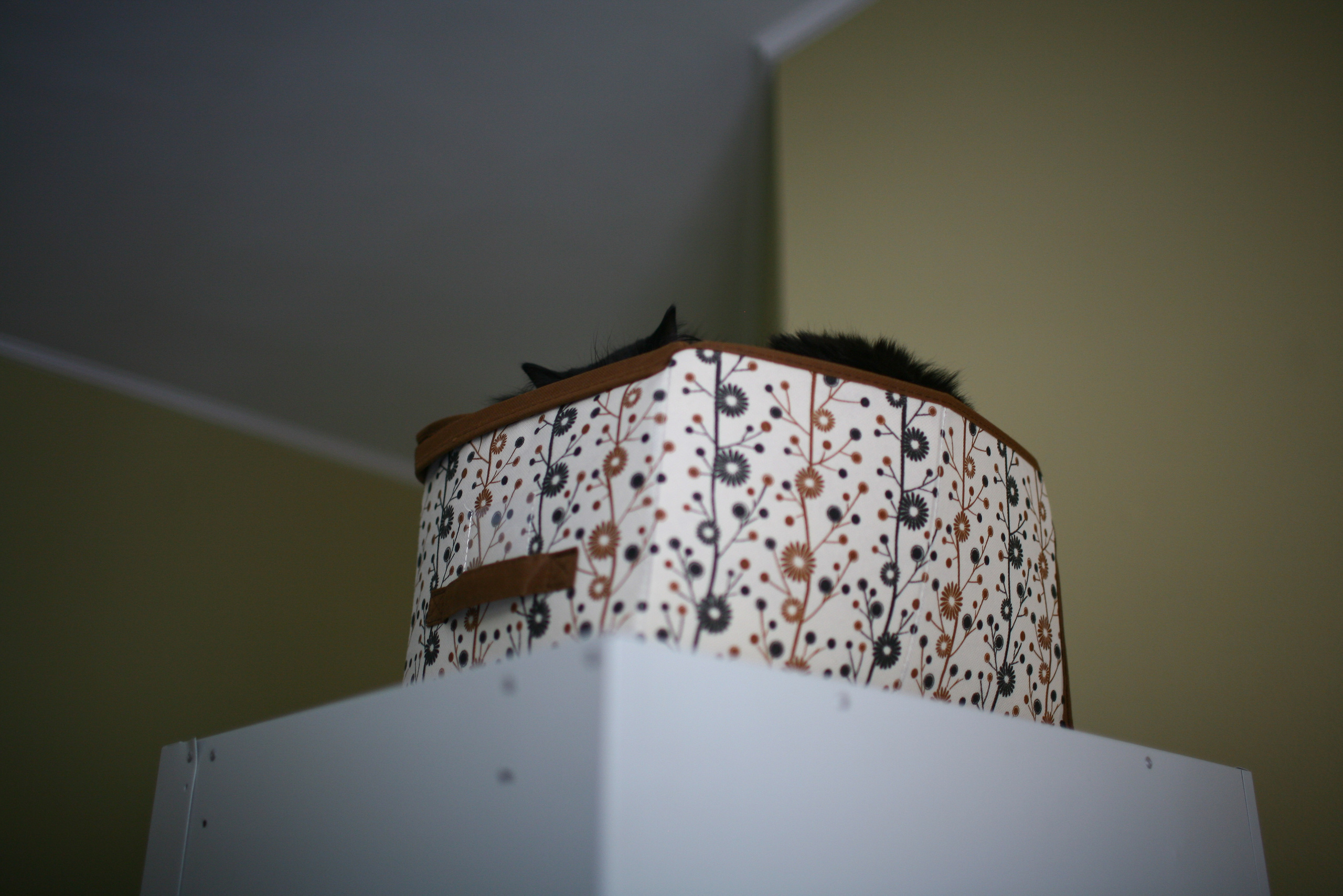 Вера и ее утро в хостеле. Виктория Дини. Арт-фотография