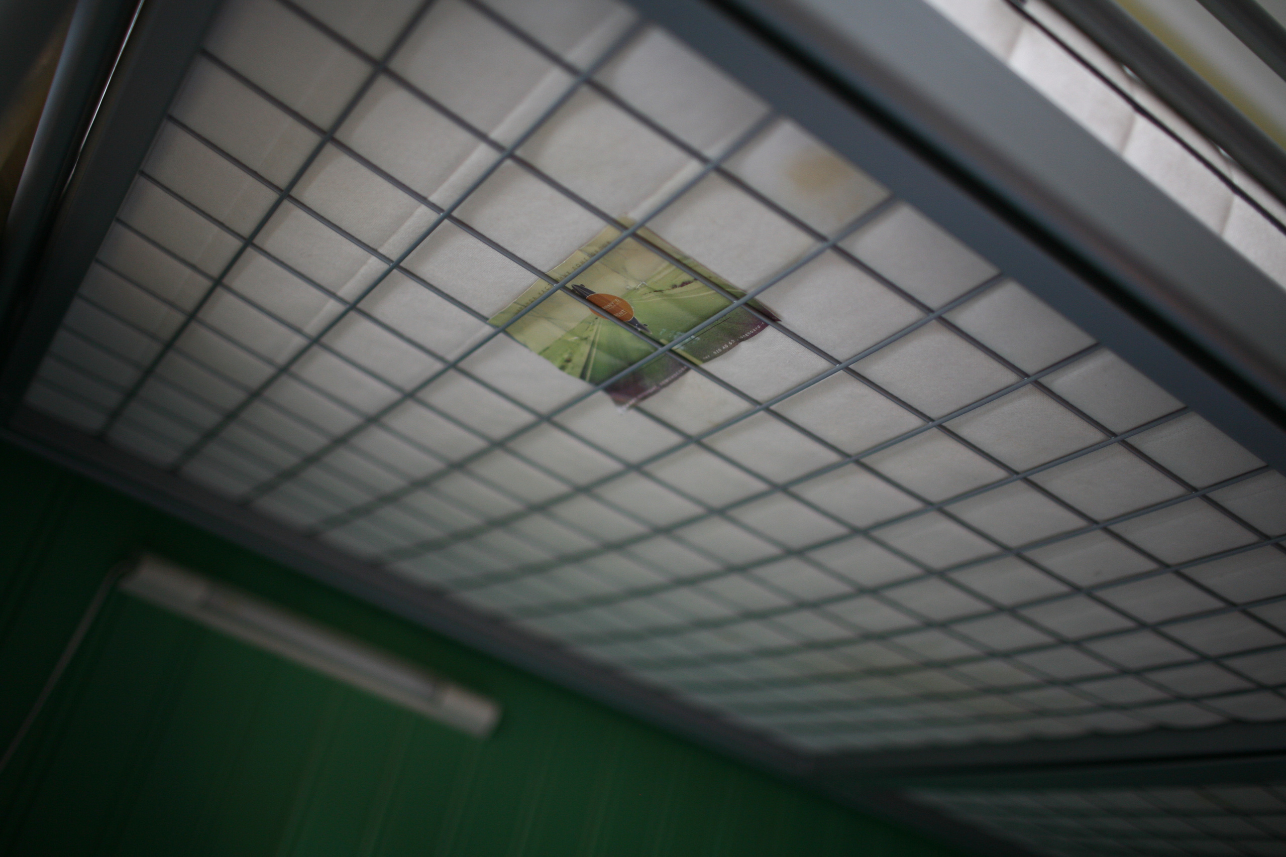 Вера и ее утро в хостеле. Виктория Дини. Арт-фотография