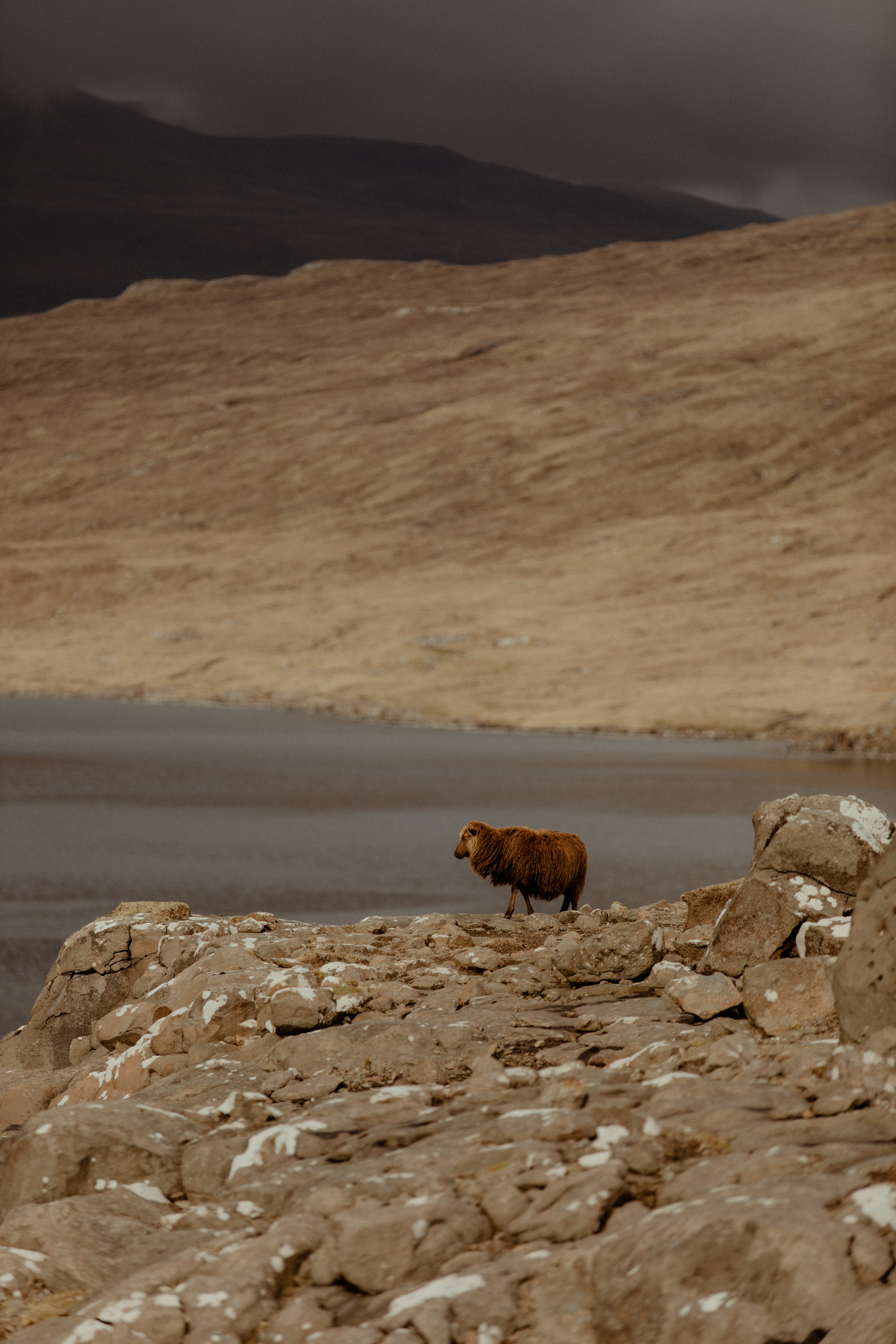 Elopement at Faroe islands. Iceland elopement photo and video | Nikolaichik Photo
