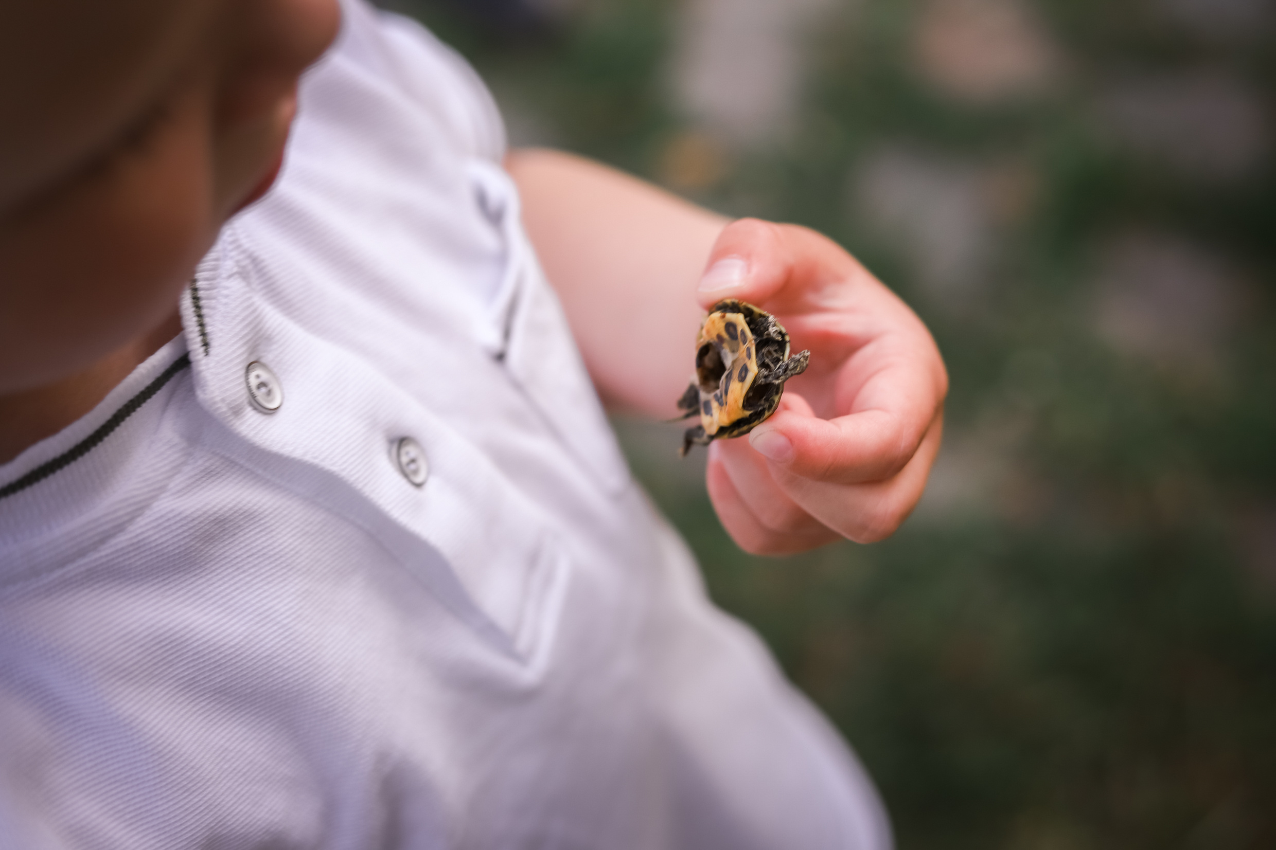 Familienfotoshooting Seepark. Fotograf in Freiburg, Meerim Kaufmann