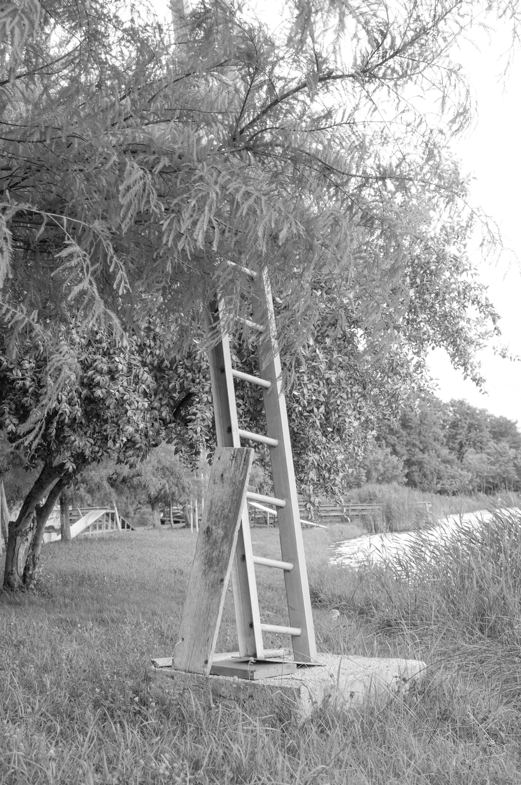 Under the Phasis' Sun. Mayya Kelova artist