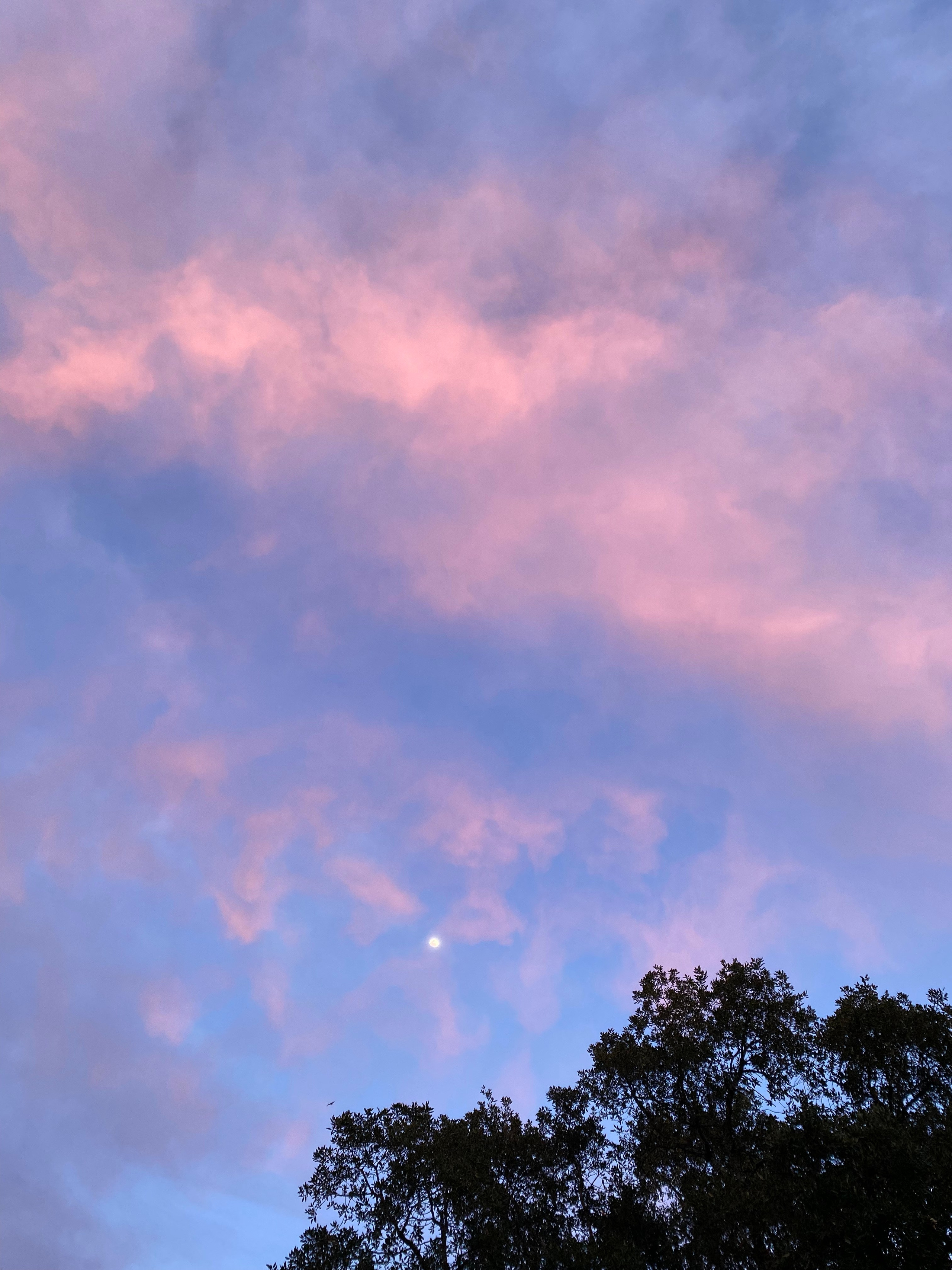 Jógový pobyt v Portugalsku 2024. Mateřství. Nevýchova. Život v souladu s přírodou. Jóga