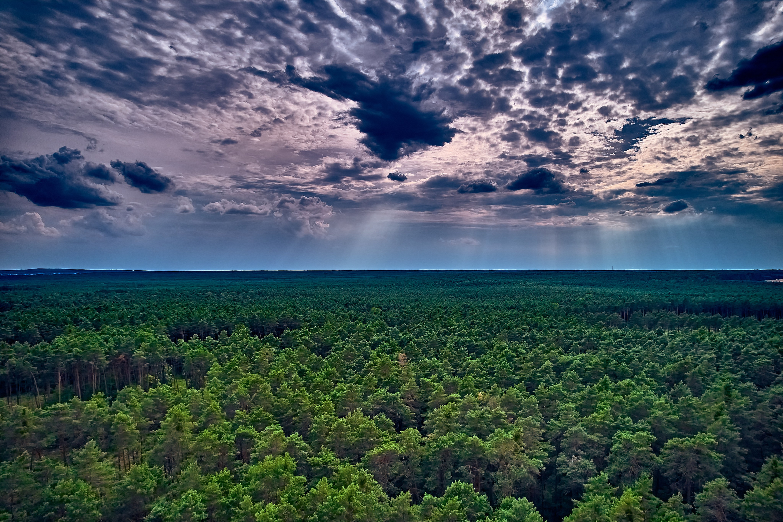 Organic Festival 2024. Andriej Szypilow — Photography & Videography