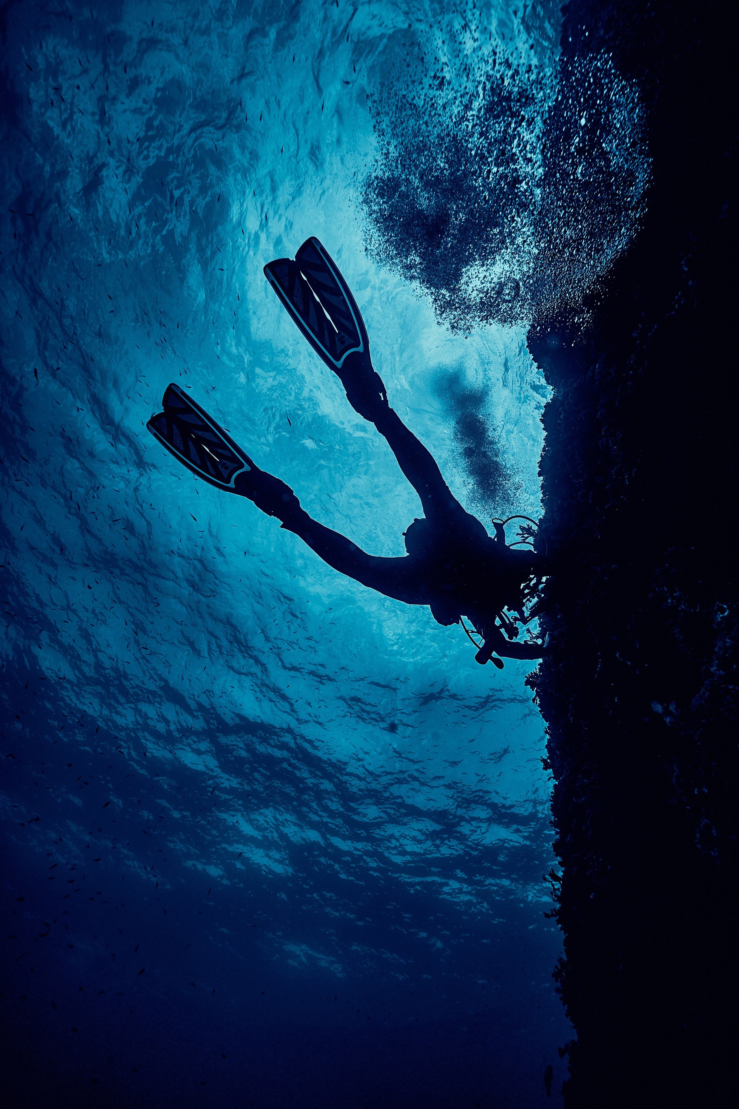Podwodny fotograf - Andriej Szypilow - underwater photography. Tajemnica - wielka, głęboka i wszechobecna - to jest ta jakość, której przede wszystkim szukam w fotografii podwodnej...