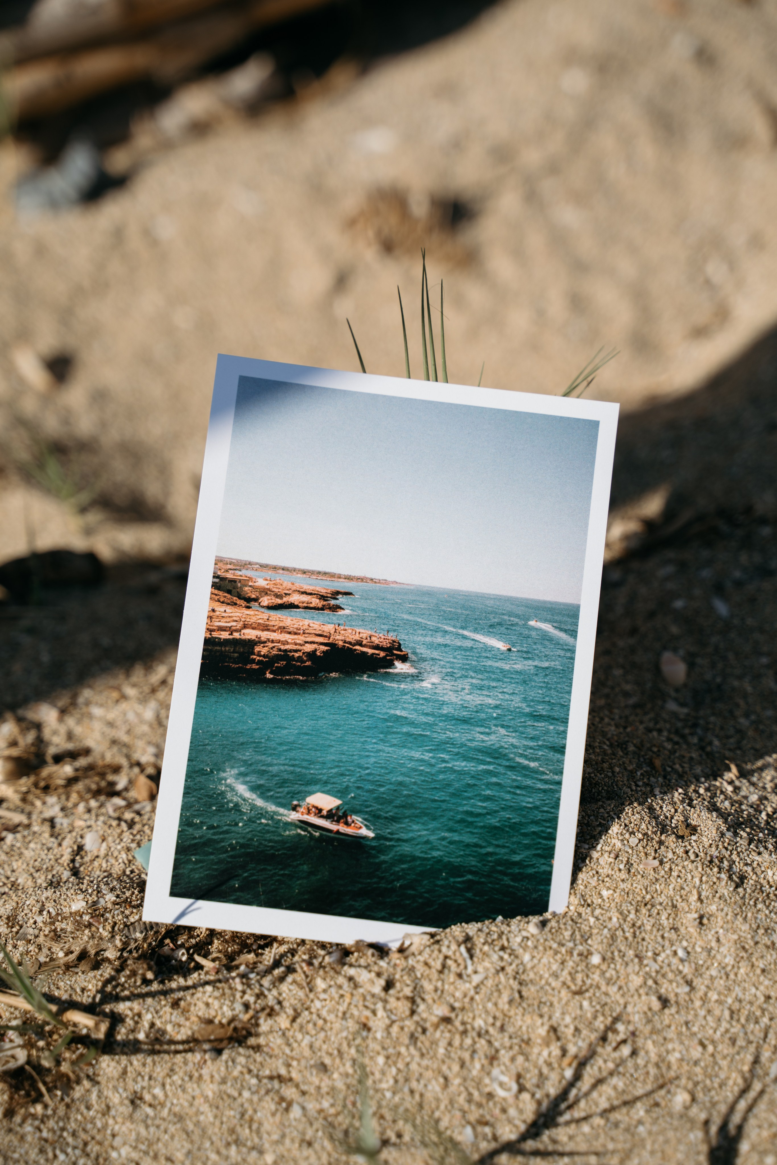 Postcards. Diana Fedrigo | Fotografa matrimoni in Italia