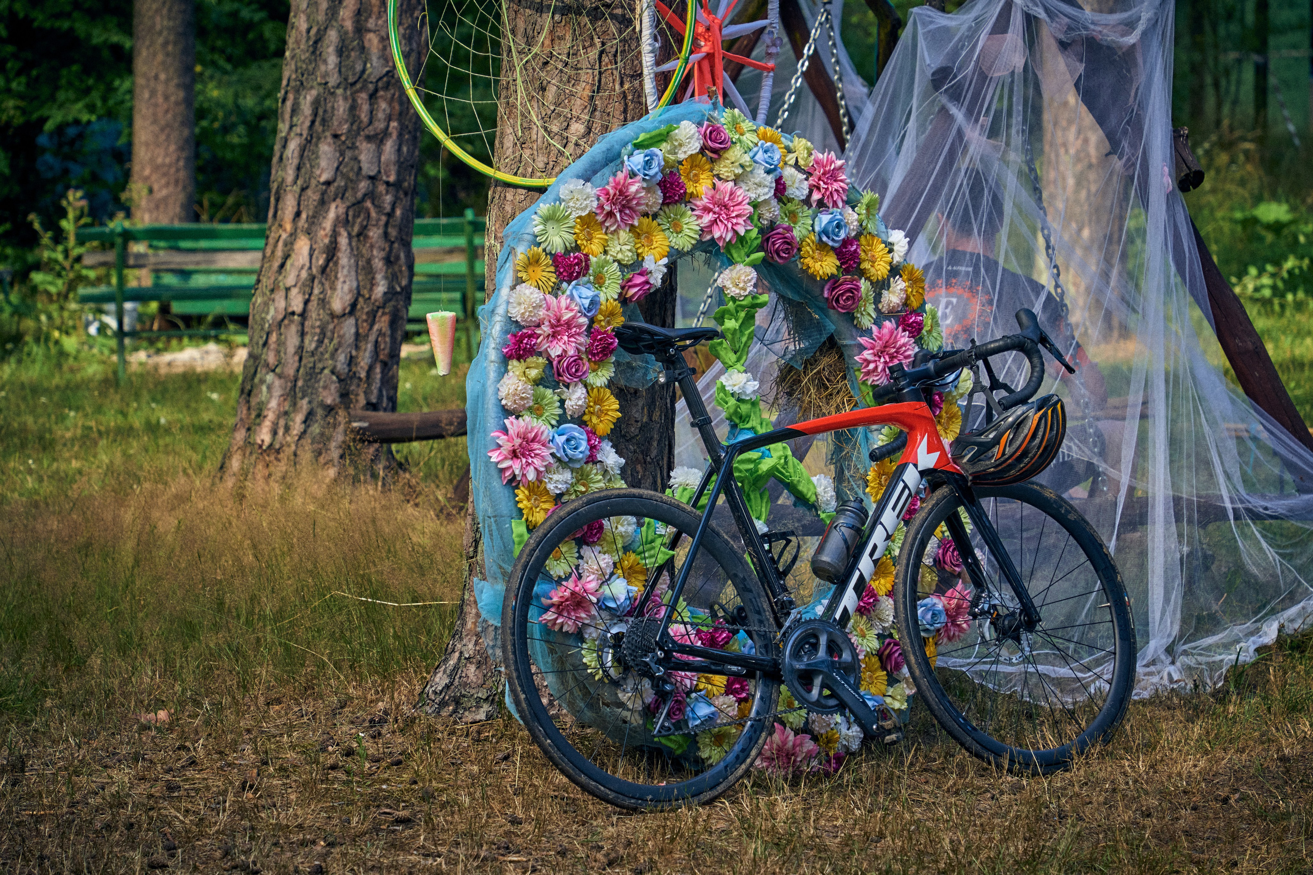 Organic Festival 2024. Andriej Szypilow — Photography & Videography