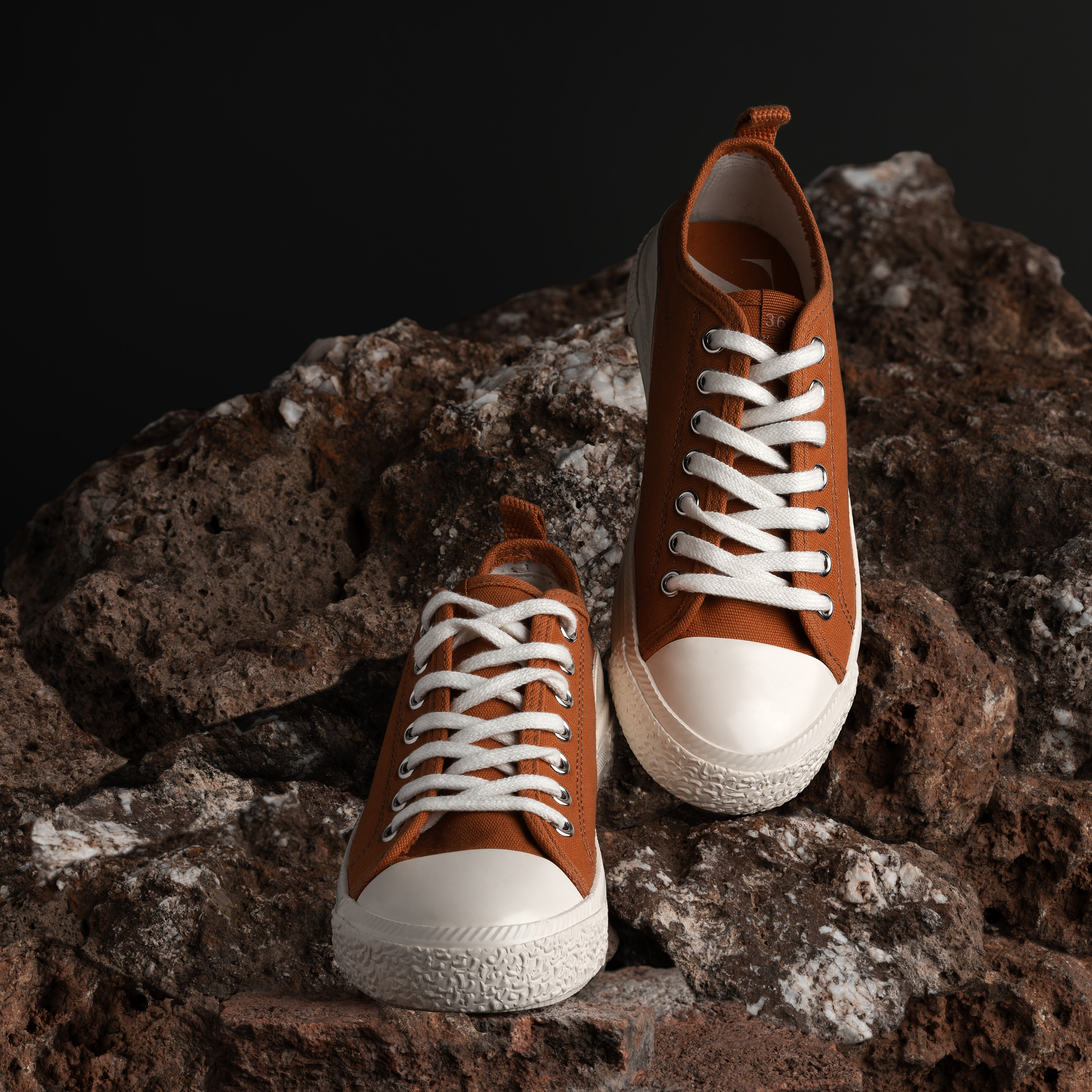 Application for high-quality photography services in Spain