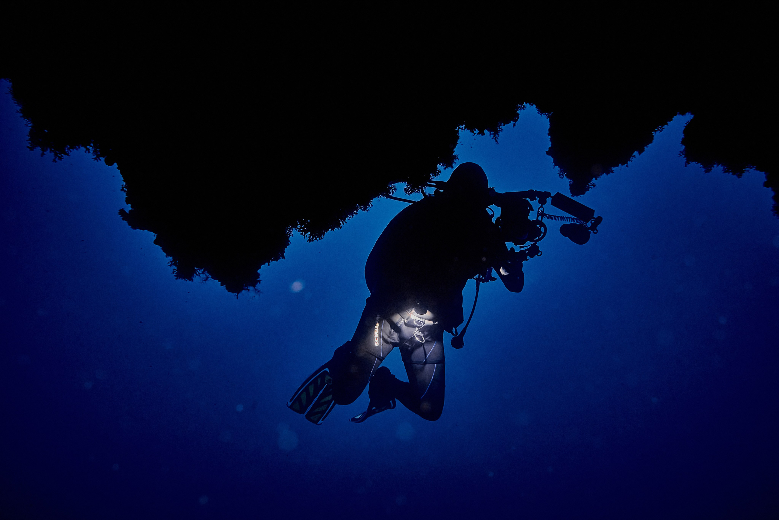Podwodny fotograf - Andriej Szypilow - underwater photography. Tajemnica - wielka, głęboka i wszechobecna - to jest ta jakość, której przede wszystkim szukam w fotografii podwodnej...