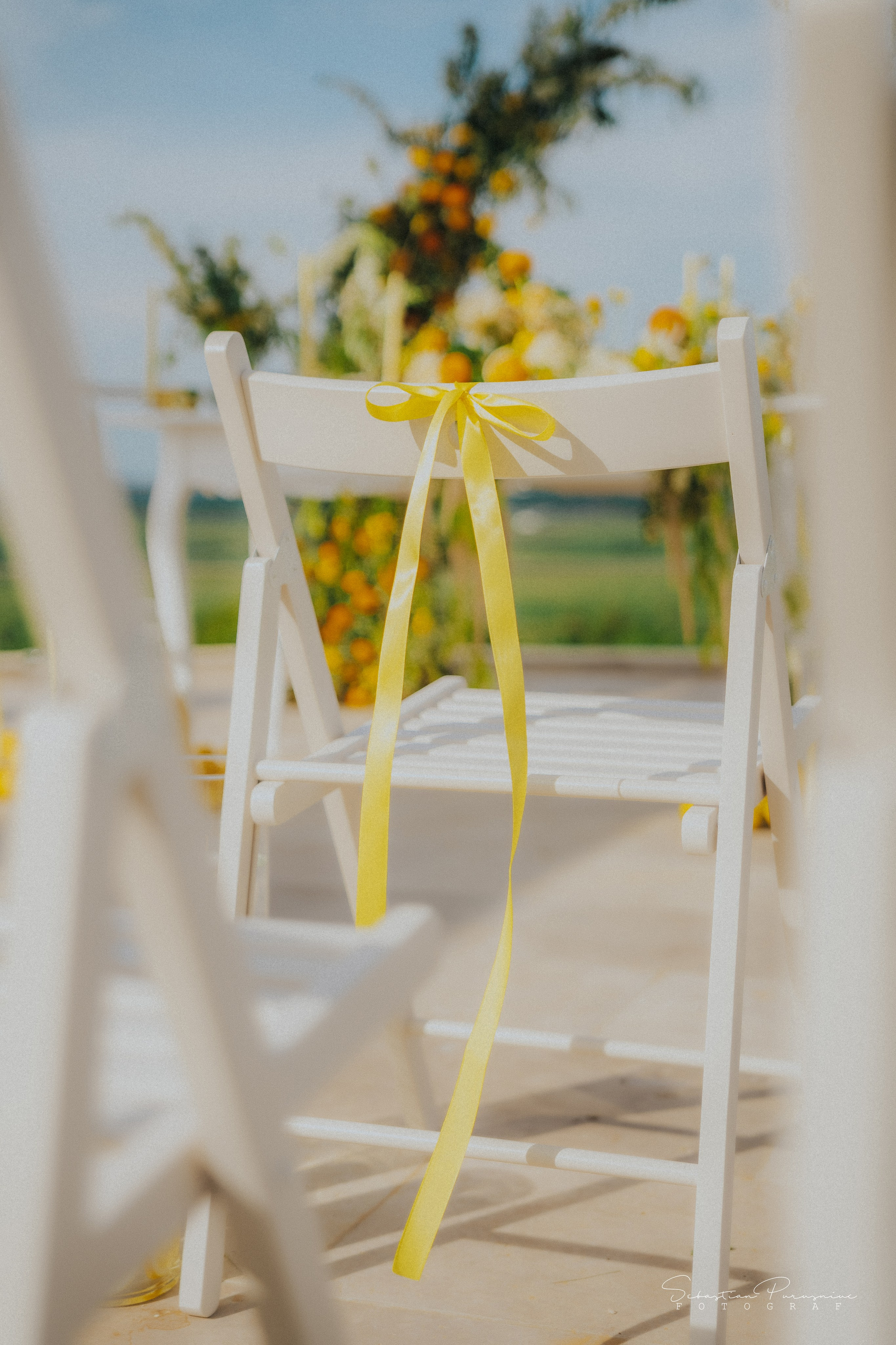 Love & Lemons. Sebastian Purusniuc Fotograf - Iasi