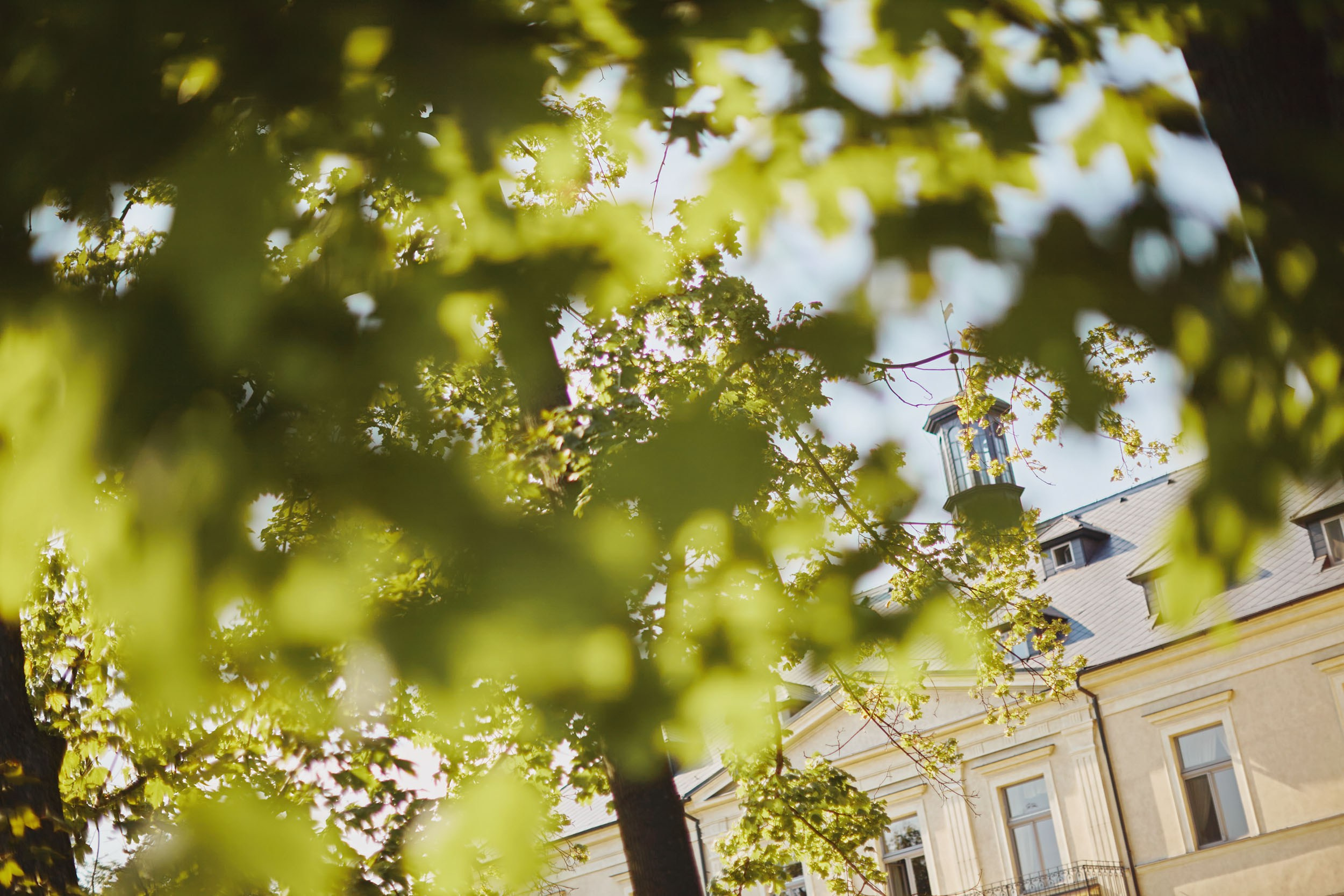 A view of the rooftop of the historic Chateau Mcely as seen through the trees from the ground.