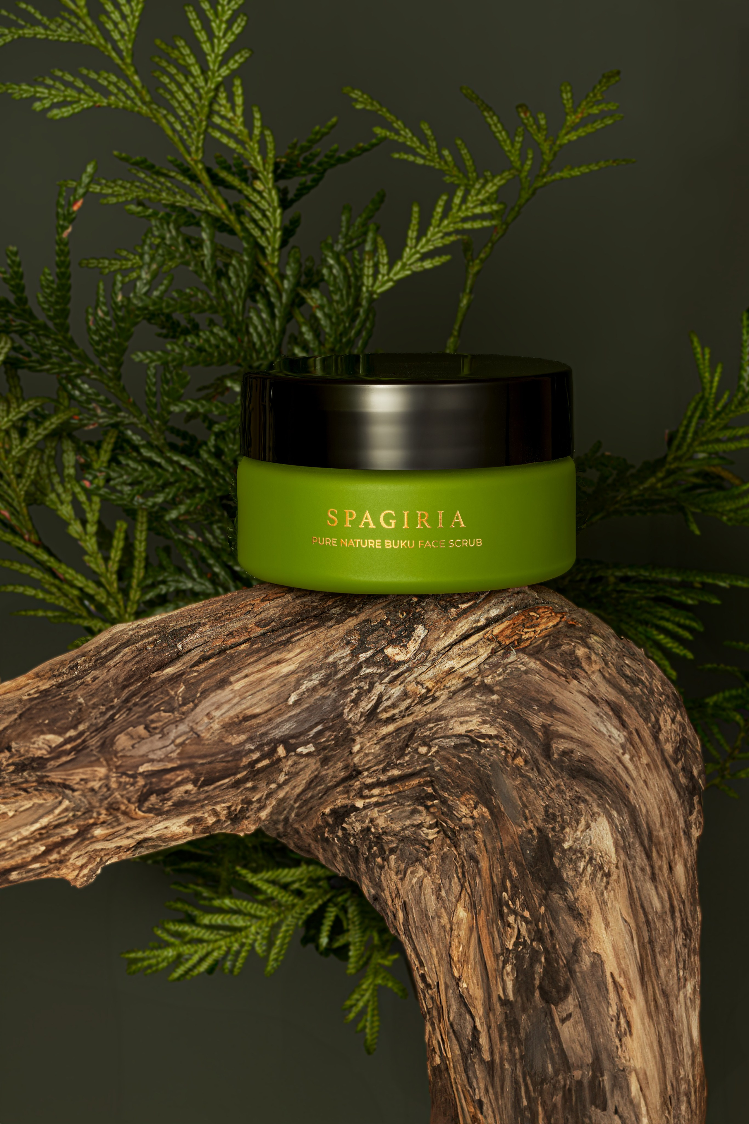 Creative makeup photography