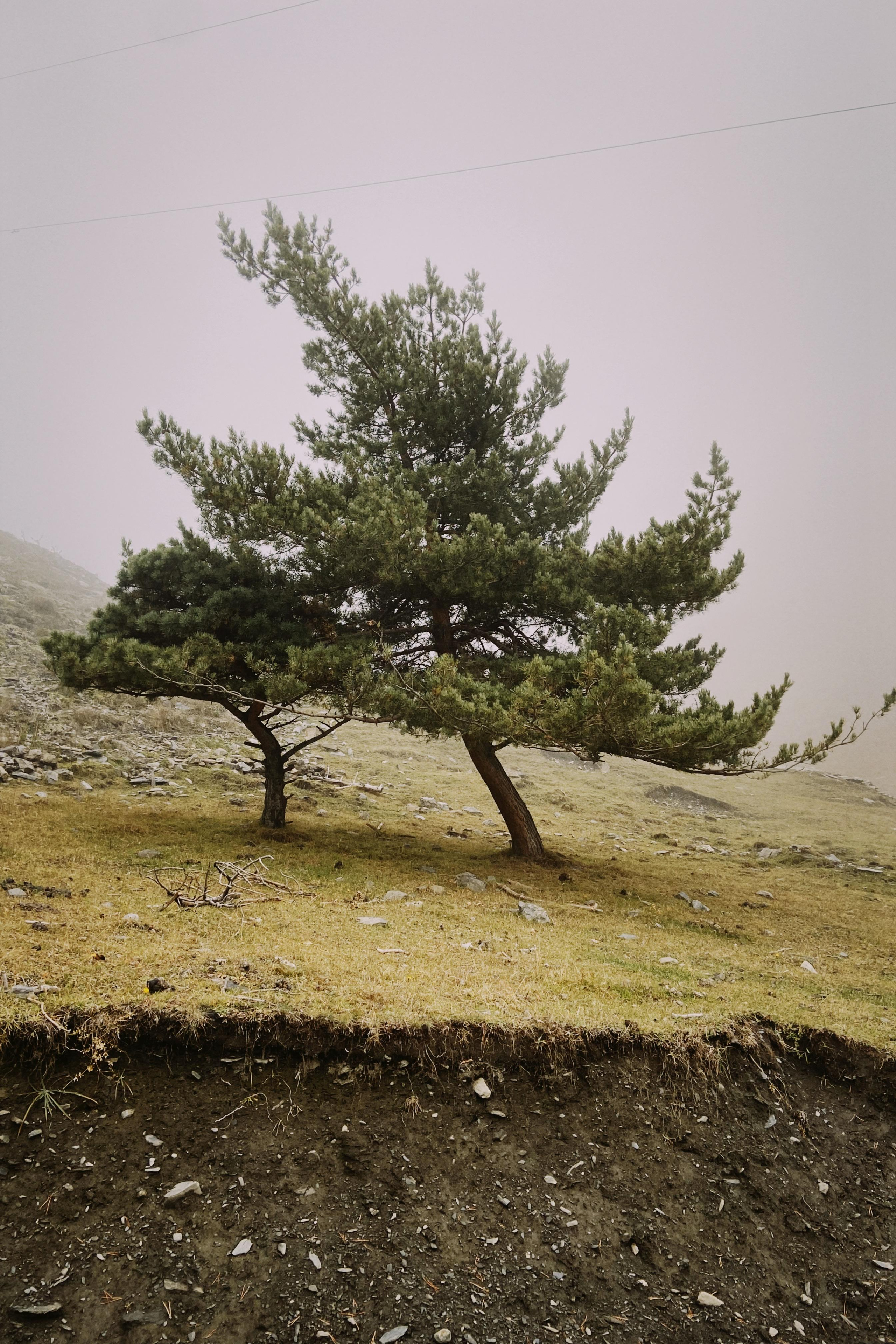 Chloé Heller — Fine Art / Documentary Photography