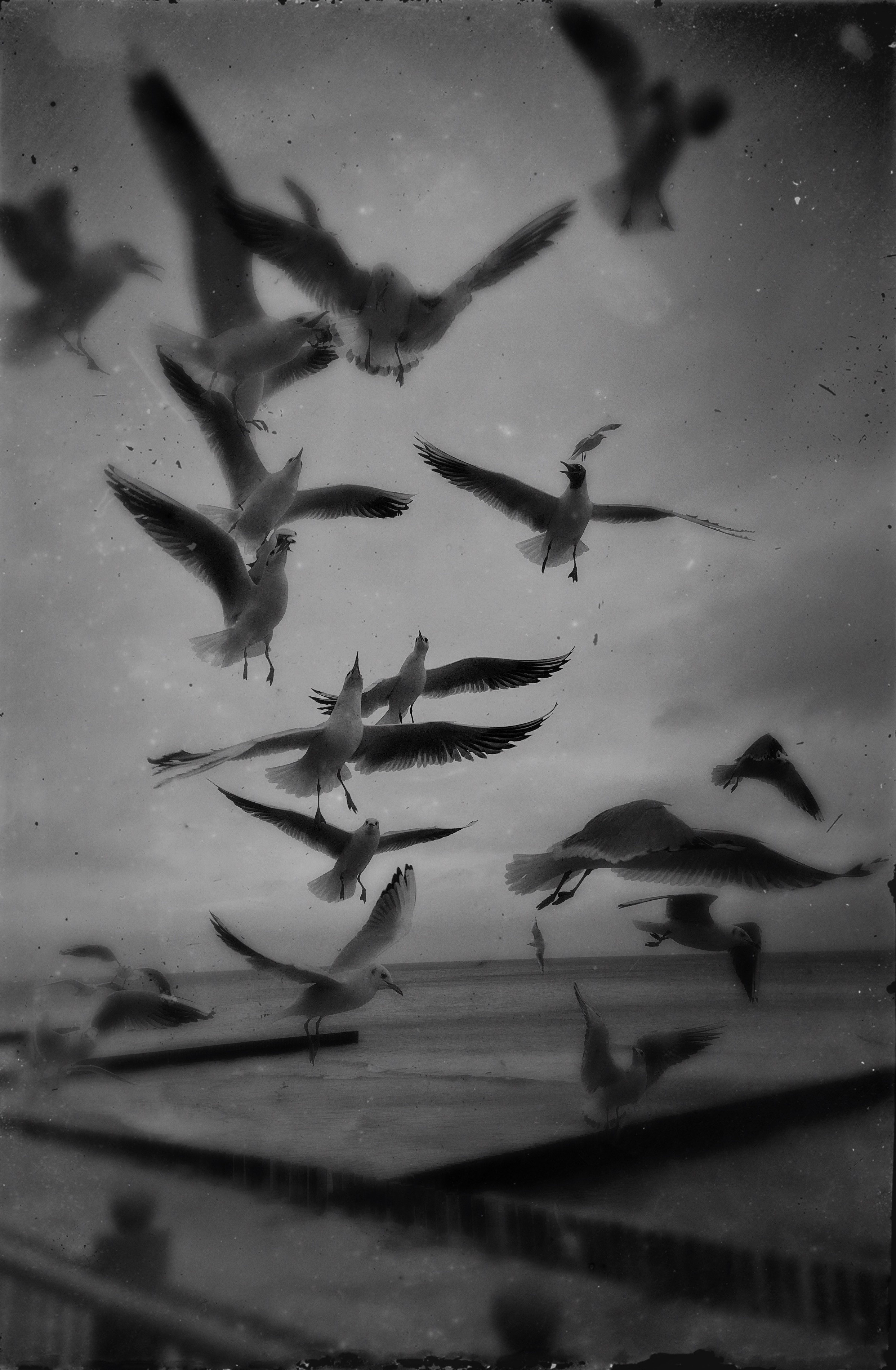 Chloé Heller — Fine Art / Documentary Photography