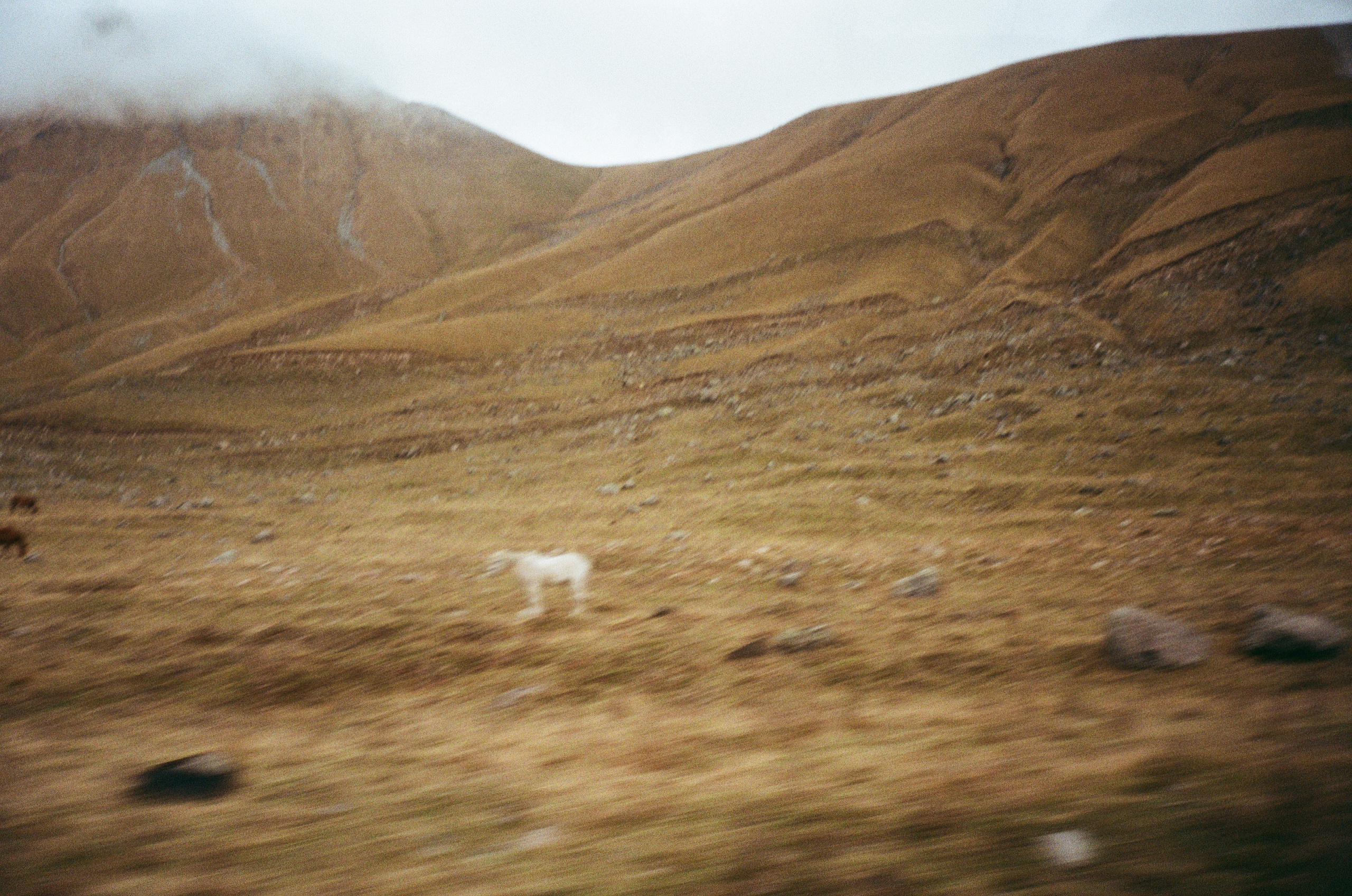 Chloé Heller — Fine Art / Documentary Photography