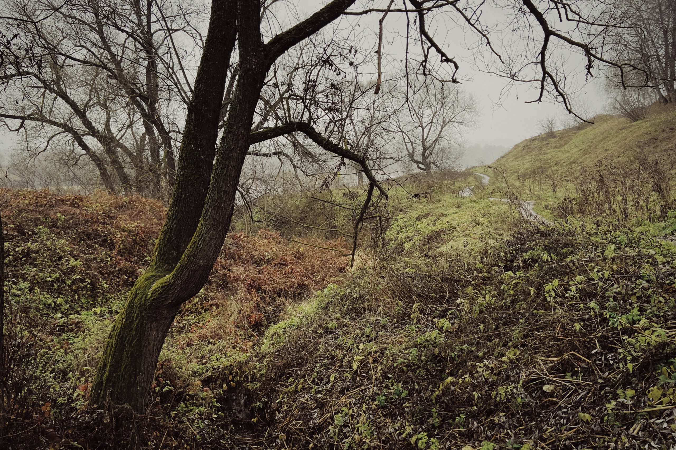 Chloé Heller — Fine Art / Documentary Photography