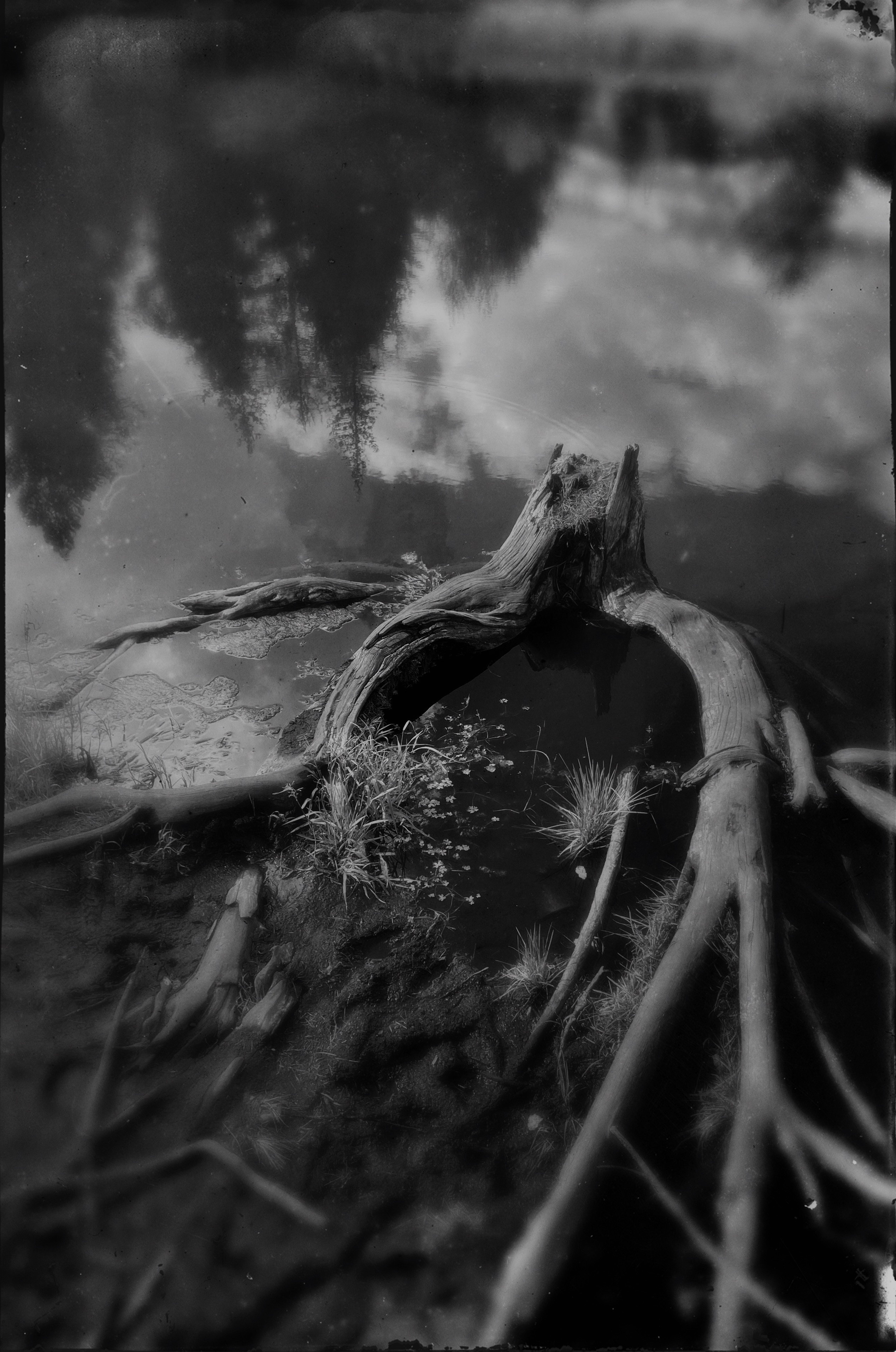Chloé Heller — Fine Art / Documentary Photography