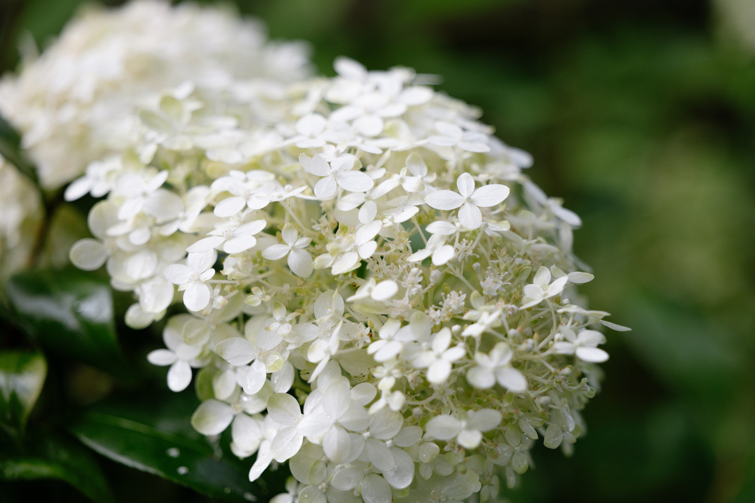 Intimate and emotional wedding. Timeless Wedding & Event Photography — based London, working across Europe