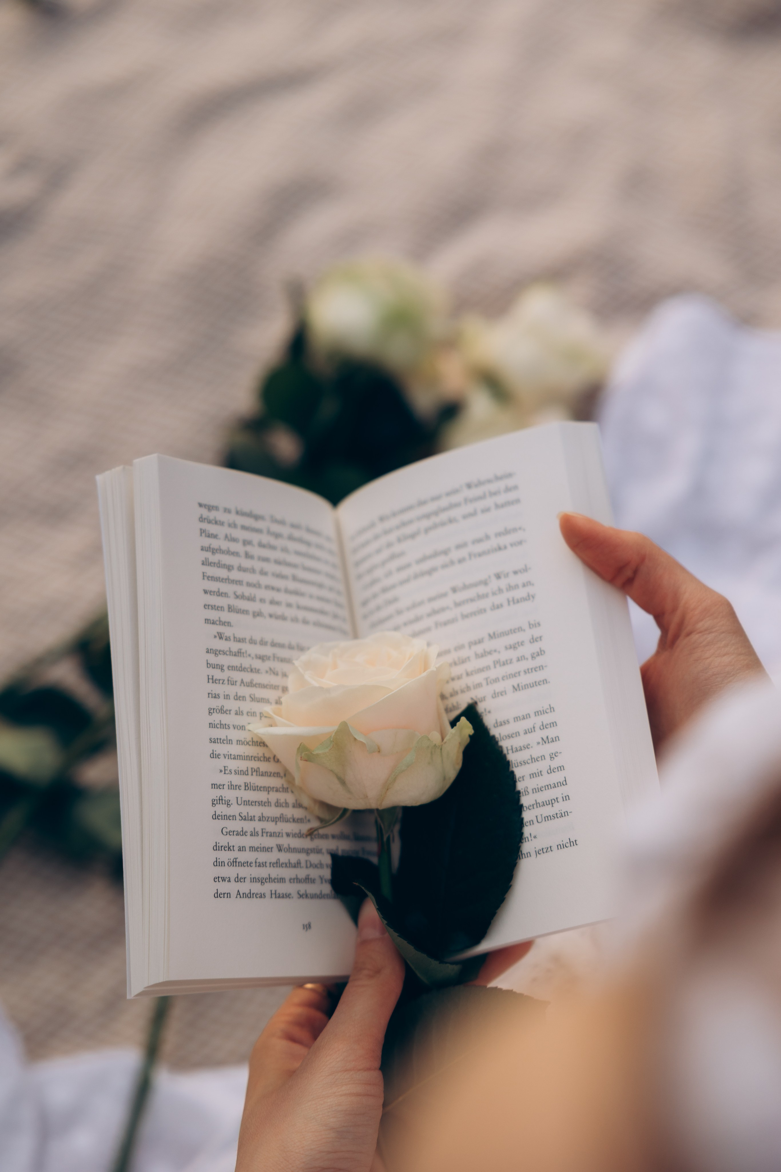 Allgemein. Hochzeits- und Porträtfotografin in Deutschland