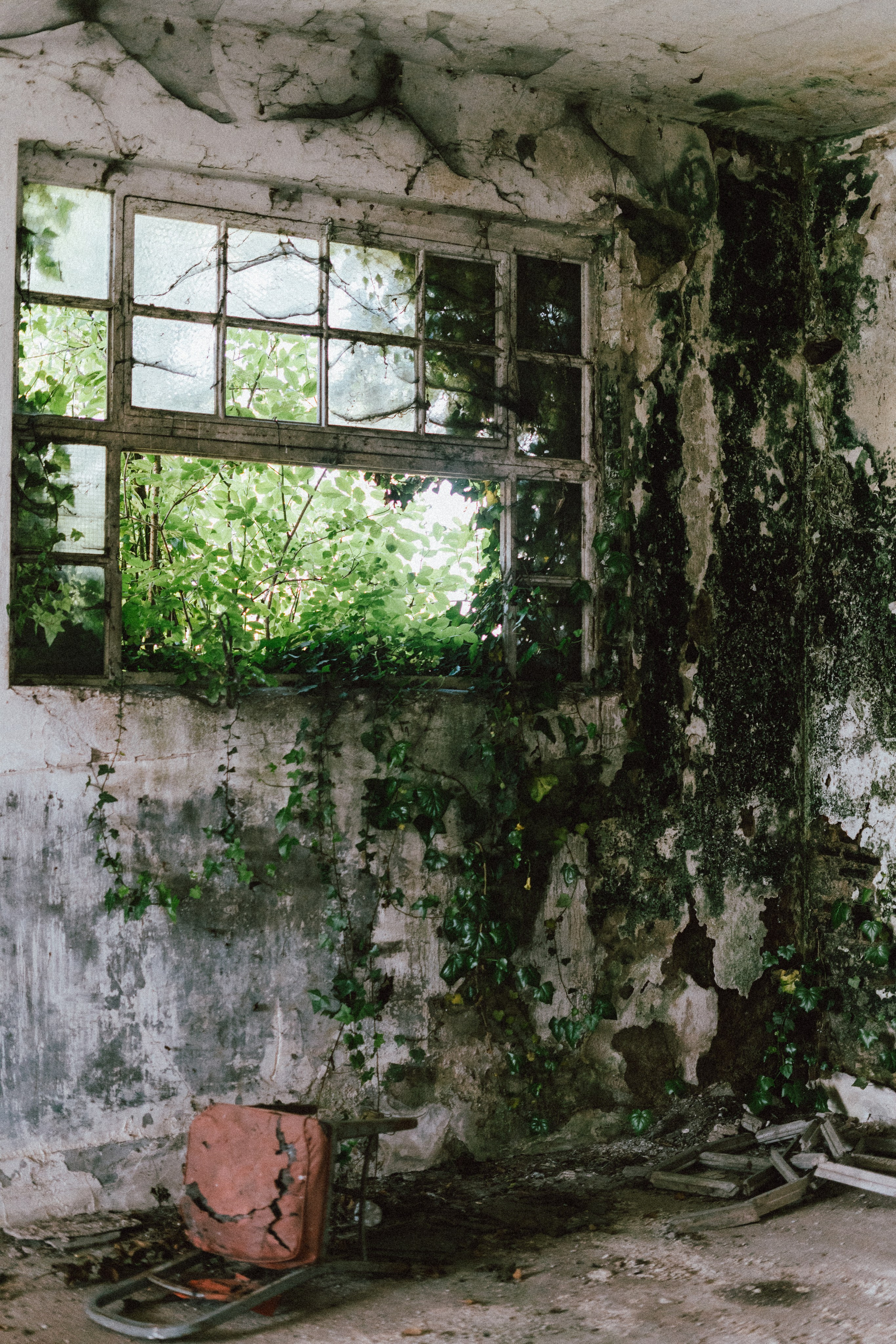 Last of us. Diana Fedrigo | Fotografa matrimoni in Italia