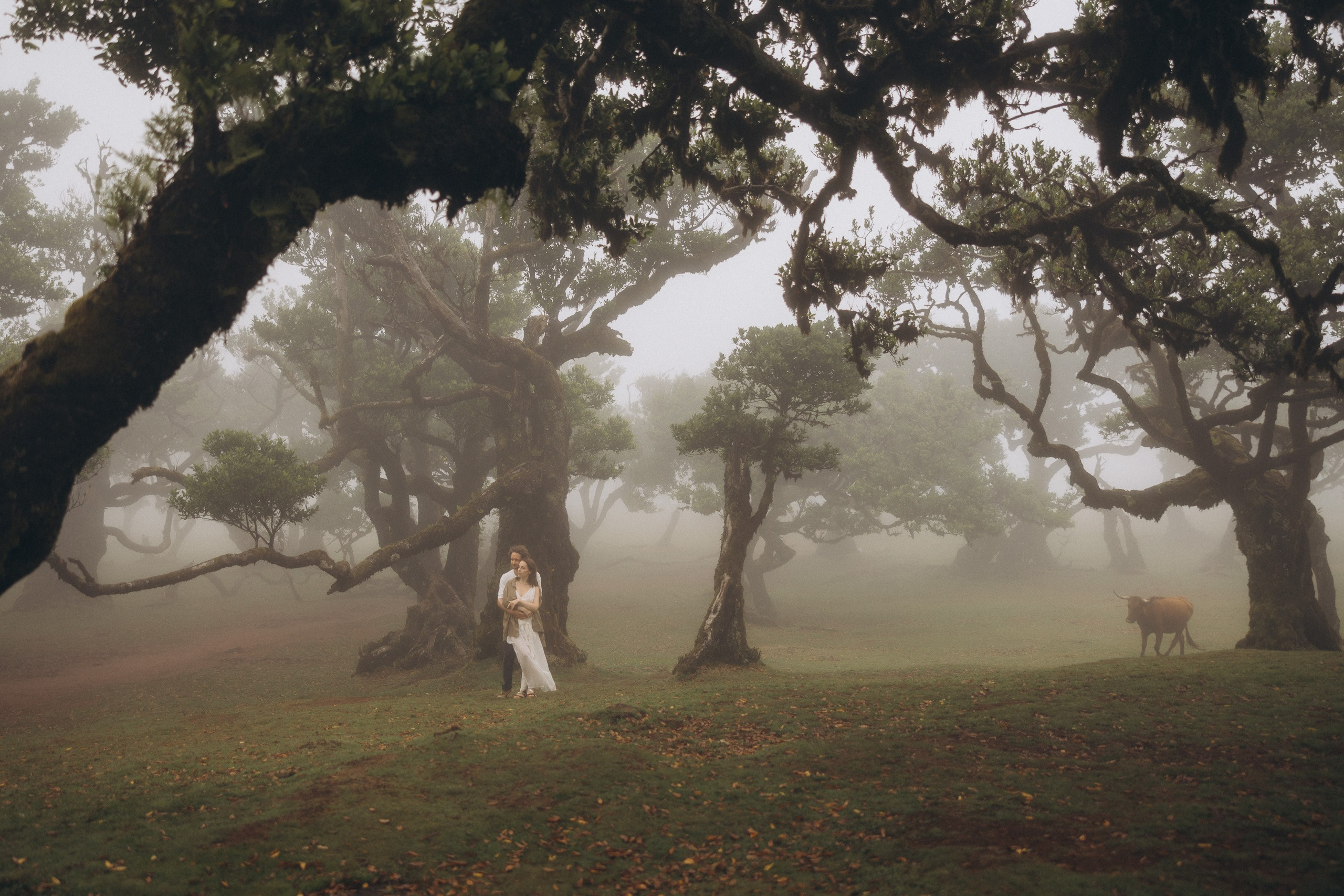 Couple Photoshoot in Madeira
