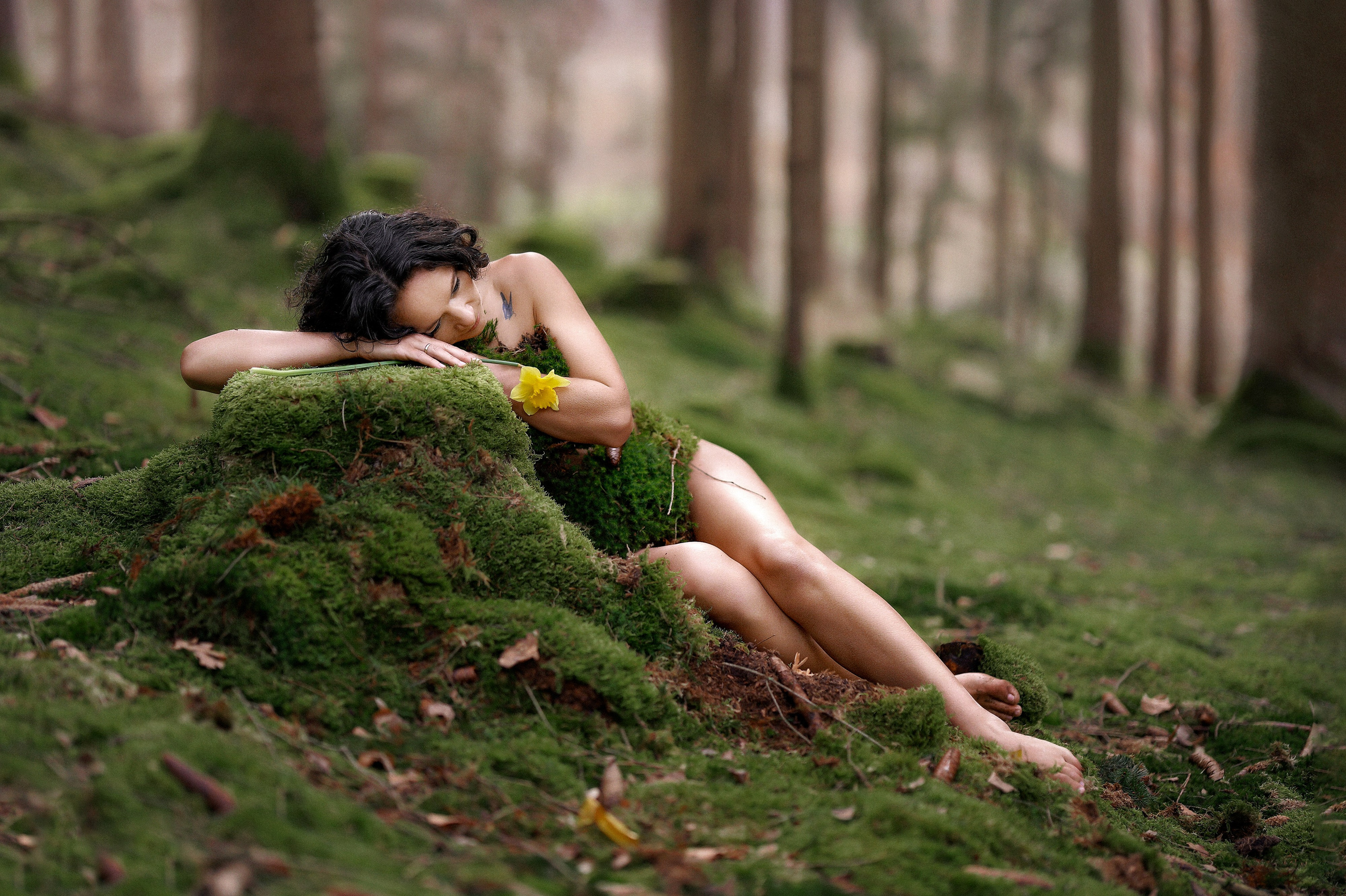 Last days of naked forest. Portraitfotografie in Gründau Elena Ohnstedt