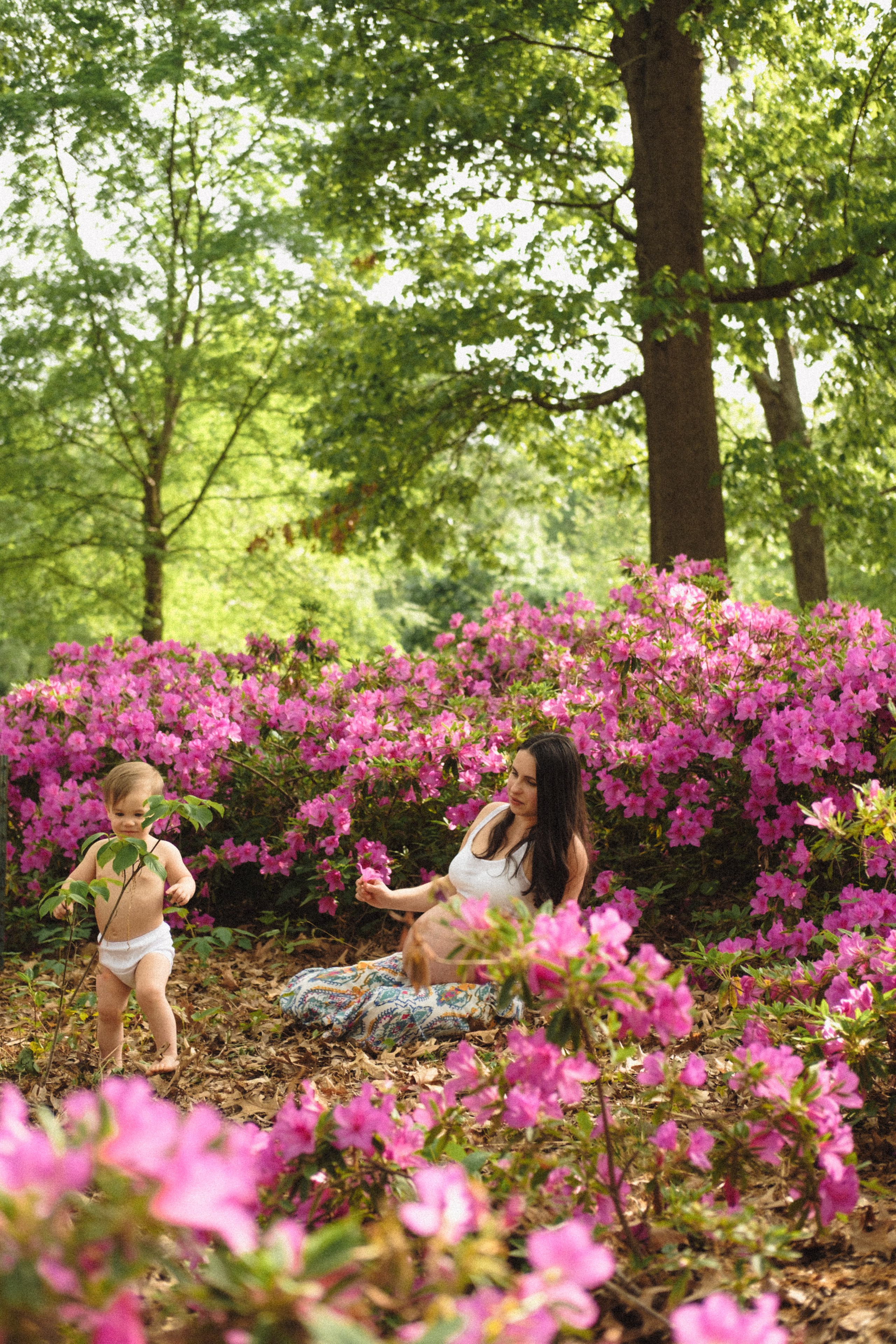 Spring Maternity Session at Bryan Park in Richmond, VA. Family Photographer Anna Dobrovolskaia | Richmond, VA