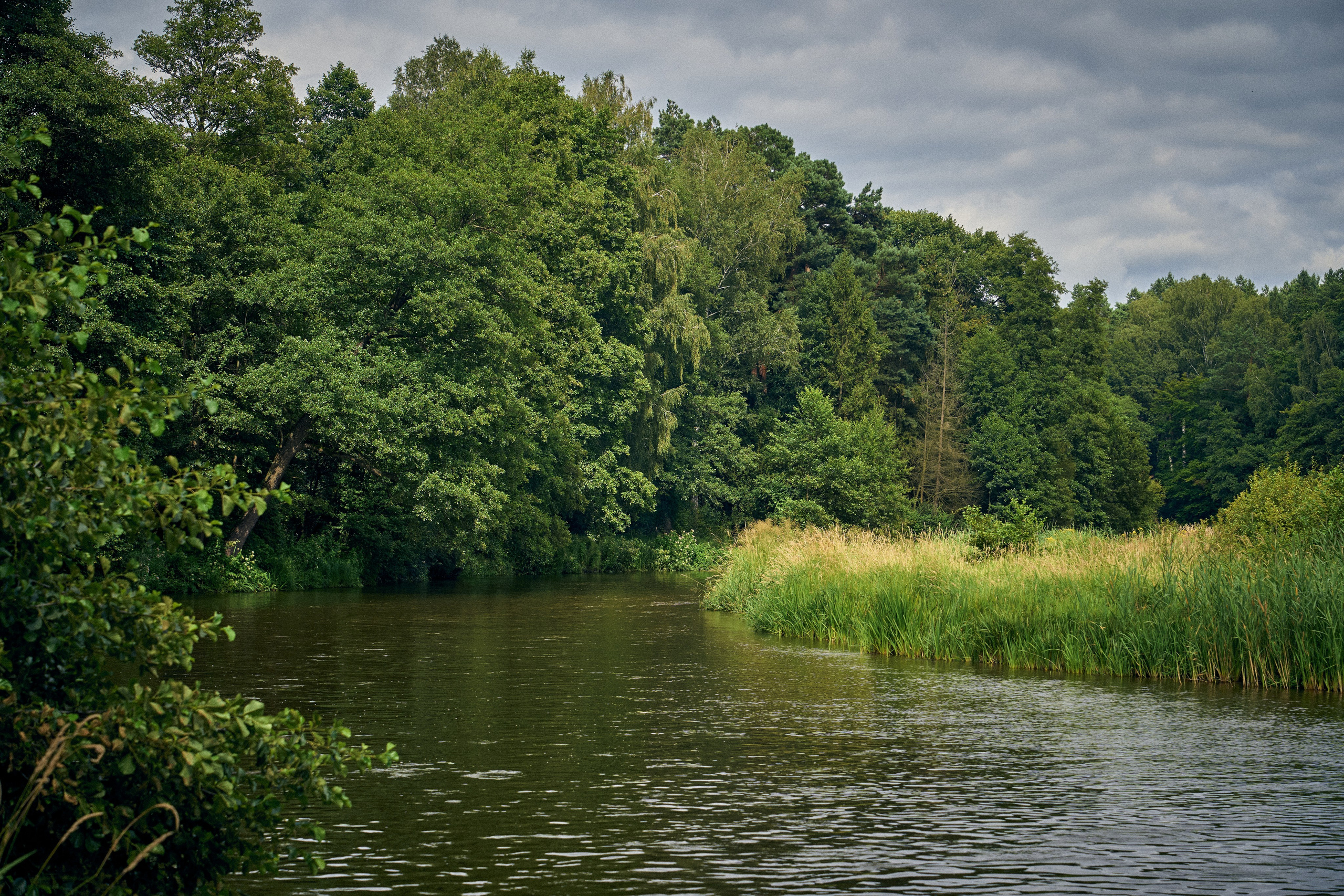 Organic Festival 2024. Andriej Szypilow — Photography & Videography