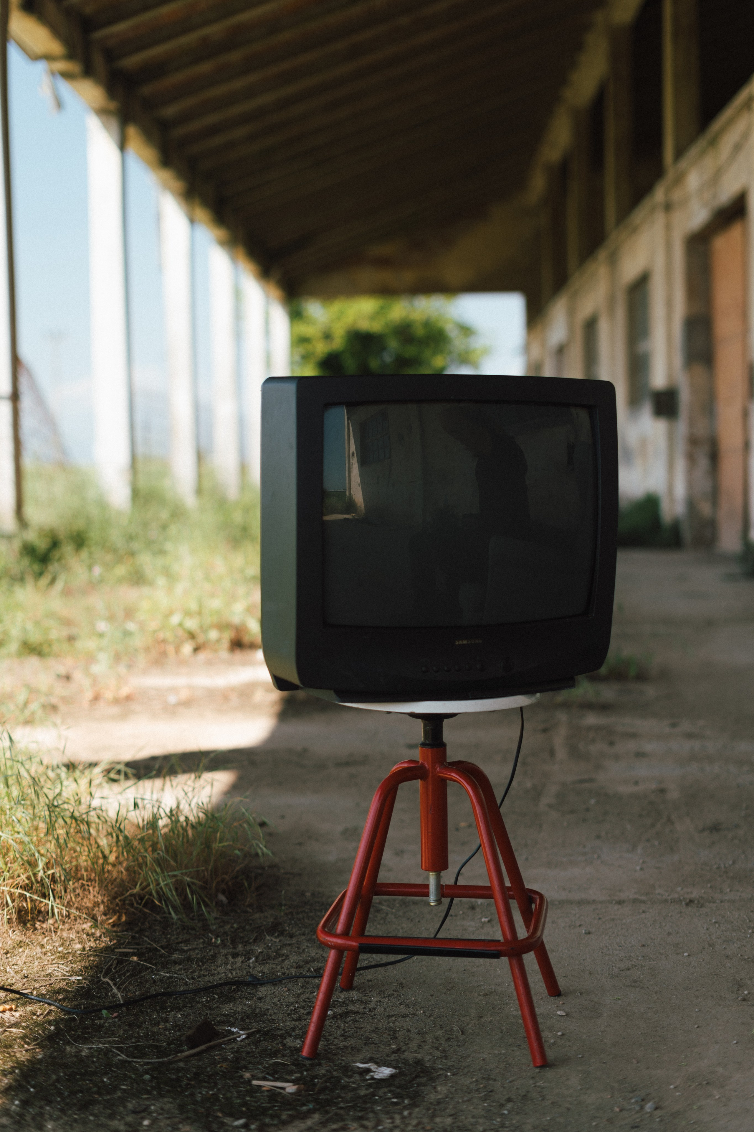 Last of us. Diana Fedrigo | Fotografa matrimoni in Italia