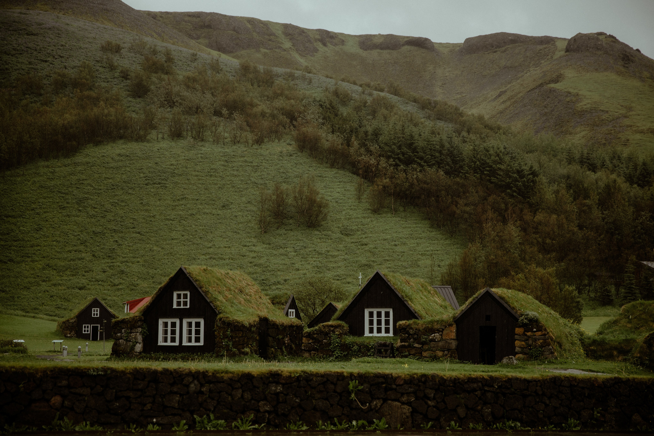 Iceland Elopement at Black Sand Beach. Iceland elopement photo and video | Nikolaichik Photo