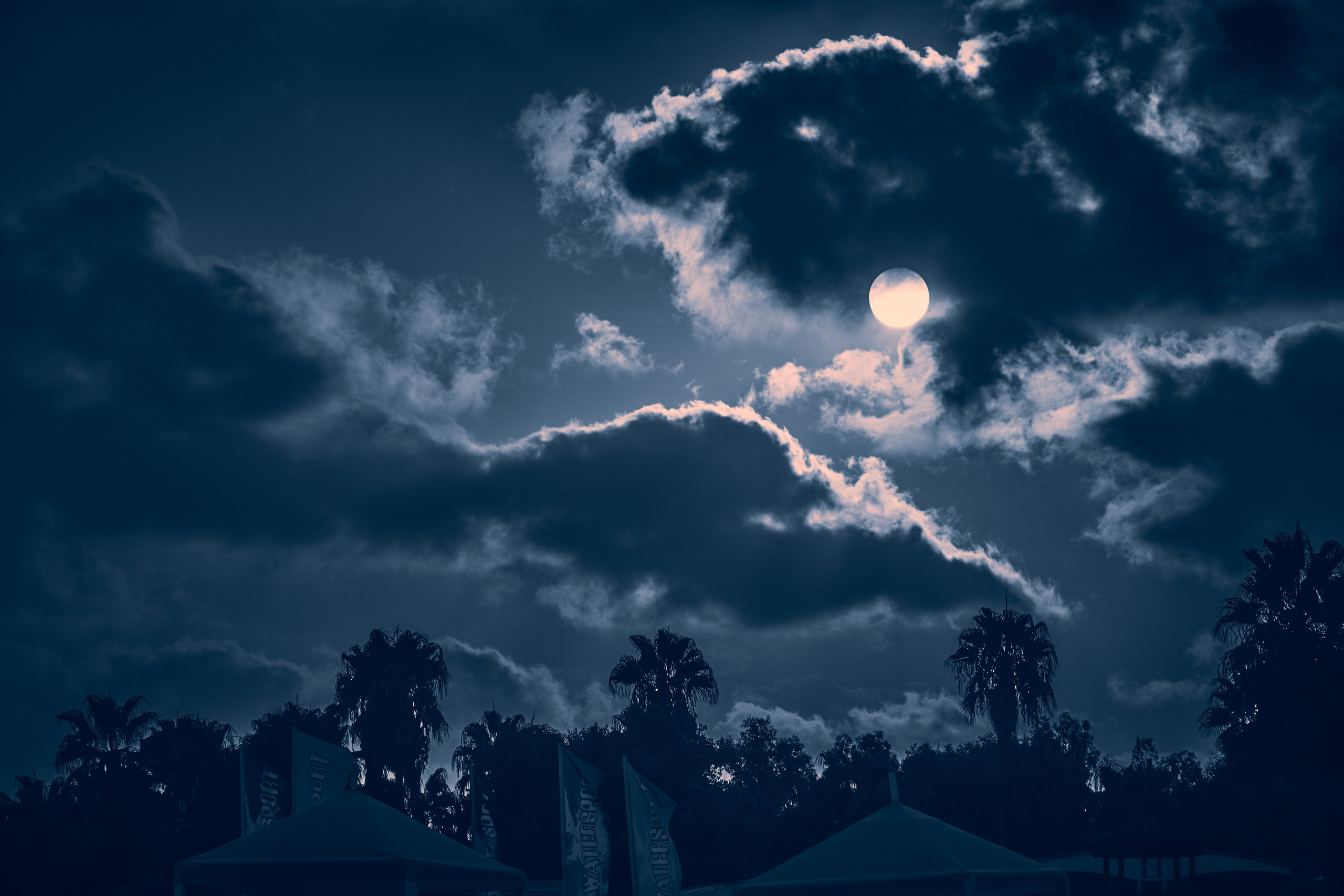 Andriej Szypiłow - Fotograf i Wideograf - Reportaż artystyczny - Antalya. Plaża. Mustafa Kemal Atatürk. Plaża jest doskonałym miejscem do spędzenia czasu dla osoby z teleobiektywem.