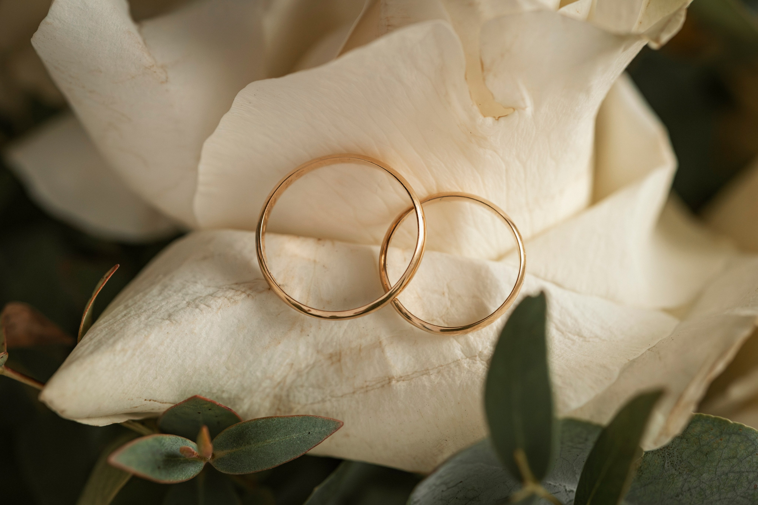 Bodas. Bolery Fotografía