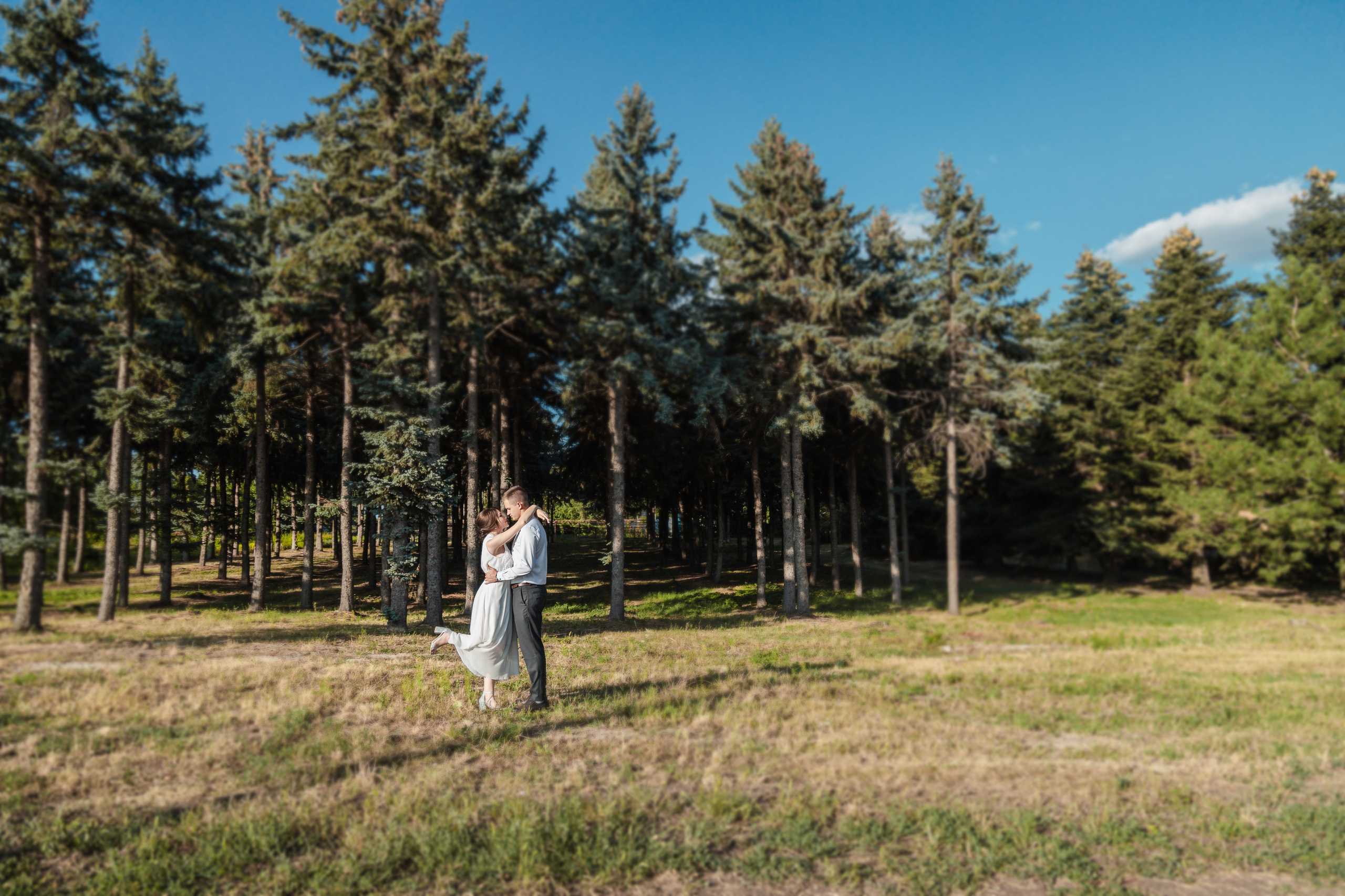 Wed-Film studio -Servicii foto și video pentru nunta în Moldova