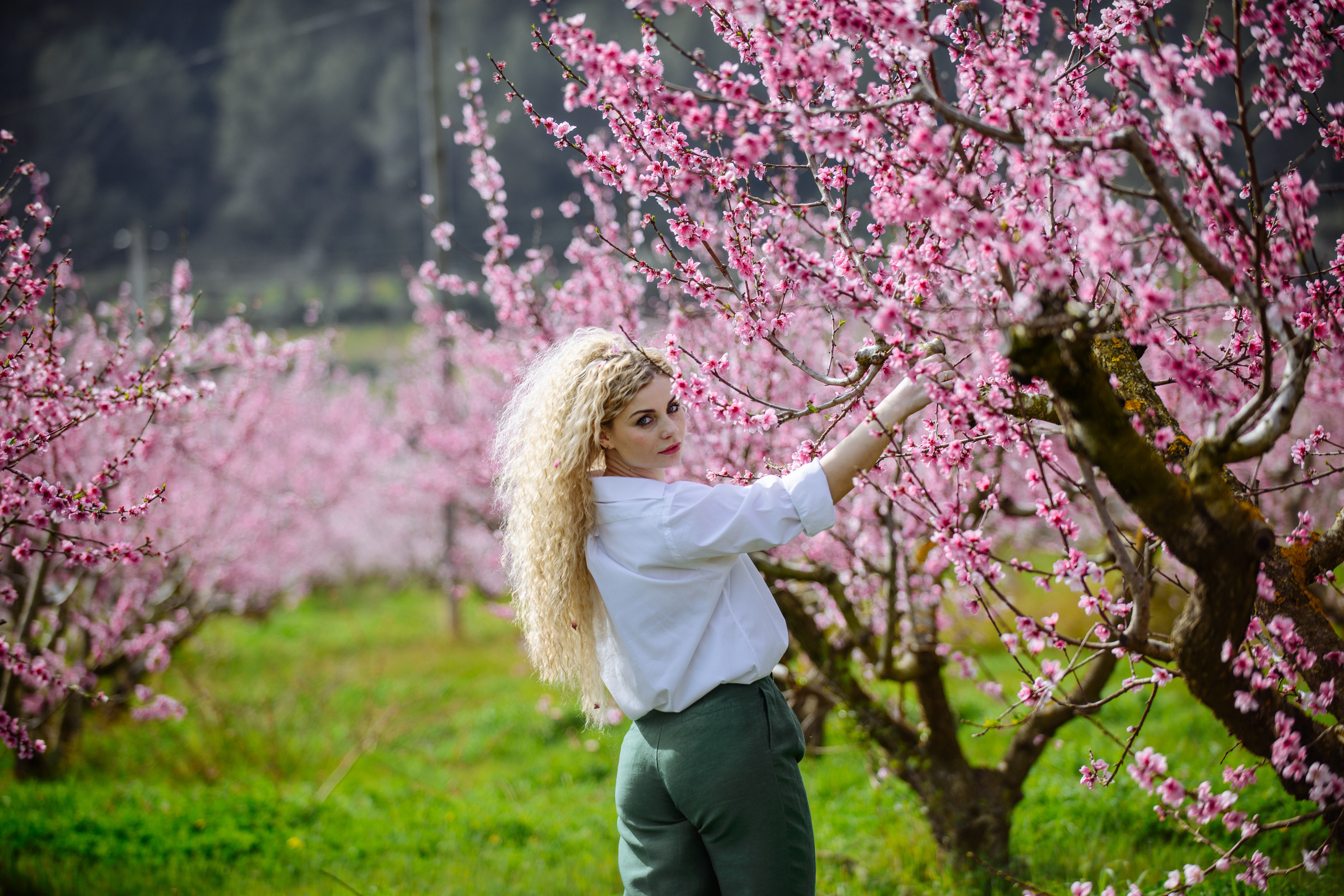 Alexandra. Fotógrafa Ekaterina Gasanova - sesiones de fotos en Barcelona