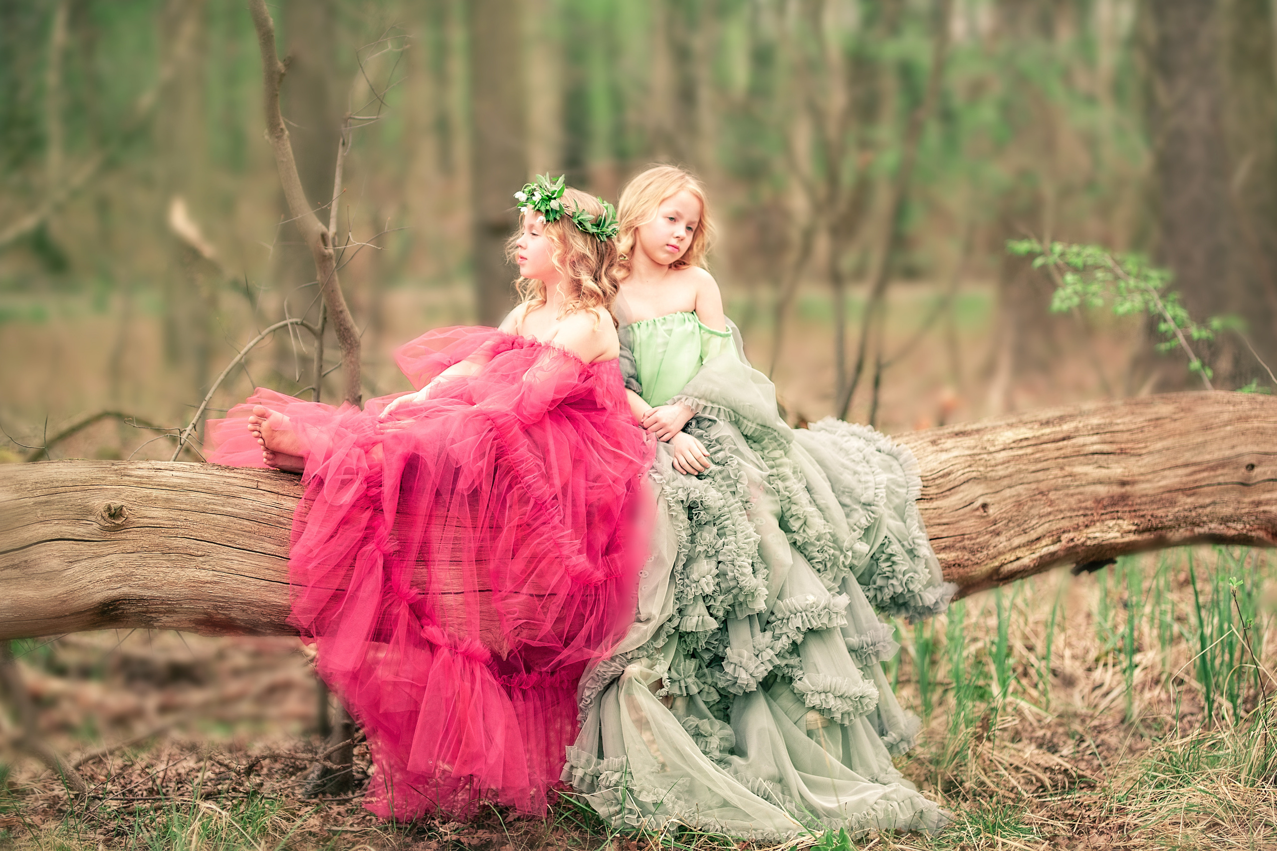 Kleine Feen im Frühlingswald. Fotografin aus NRW