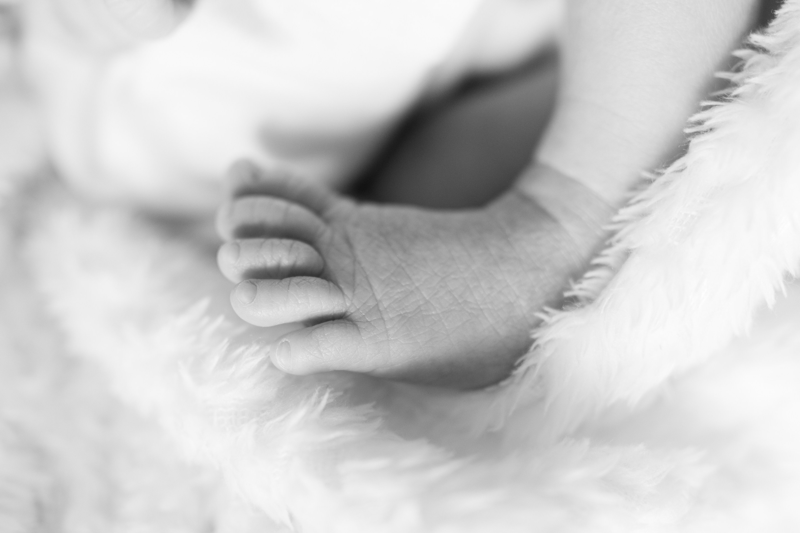 Fresh 48. Fotografka Andrea Hlaváčová / Karlovarský kraj / Karlovy Vary Sokolov