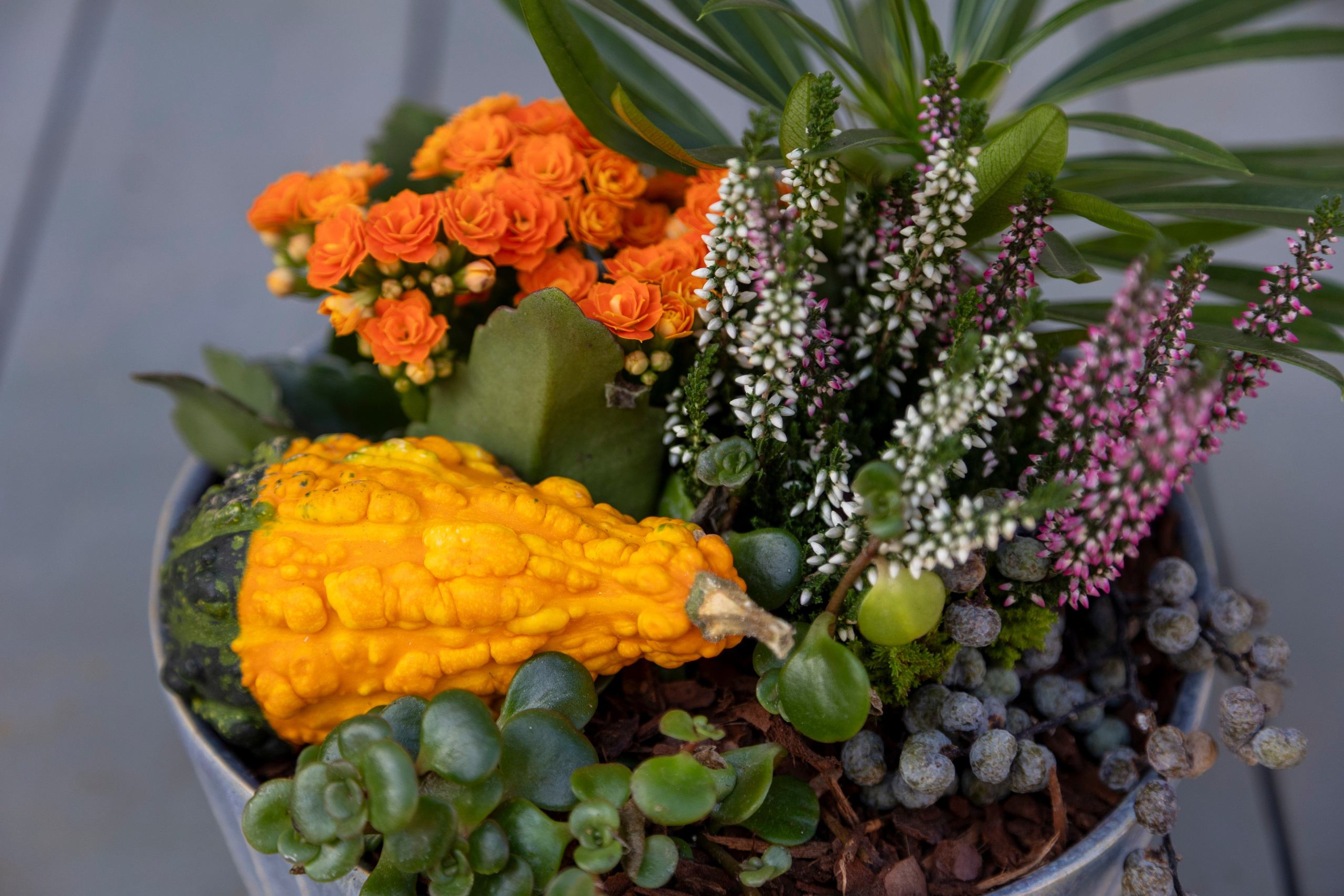 Gavekurve i Aarhus. Akropolis Blomster | Din døgn blomsterbutik i Aarhus