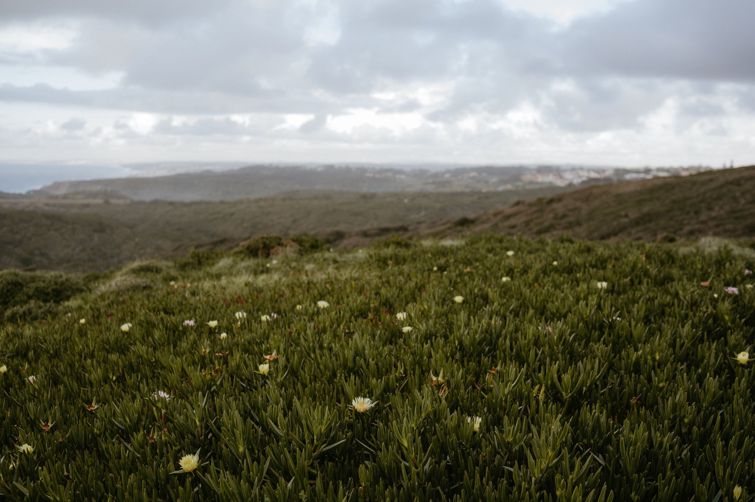Praia da Ursa – ședință foto de cuplu într-un loc magic din Portugalia. Valentin Melen - fotograf de nunta 🤍