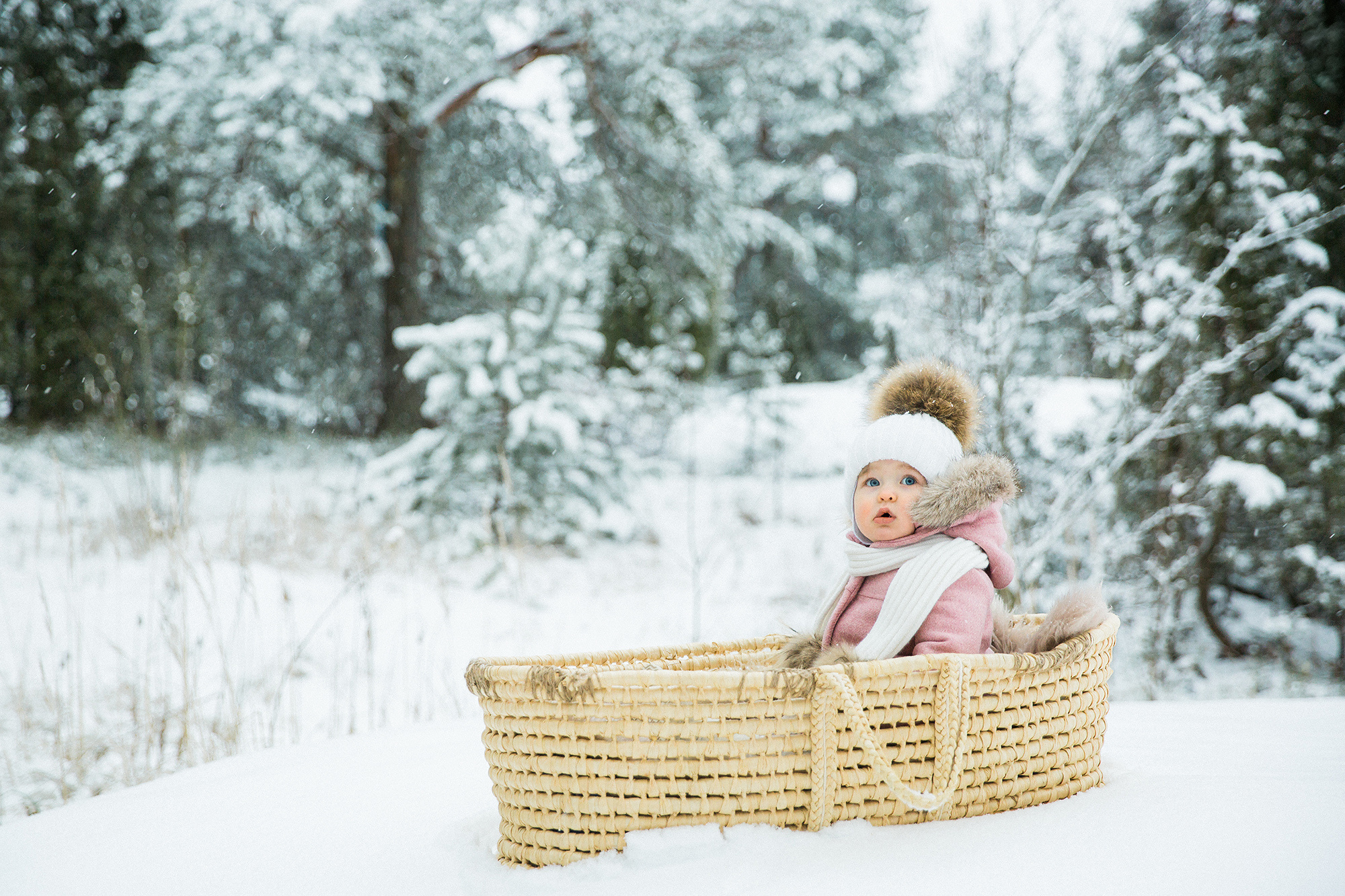 Joulun taikaa — joulukorttikuvaus lapsille