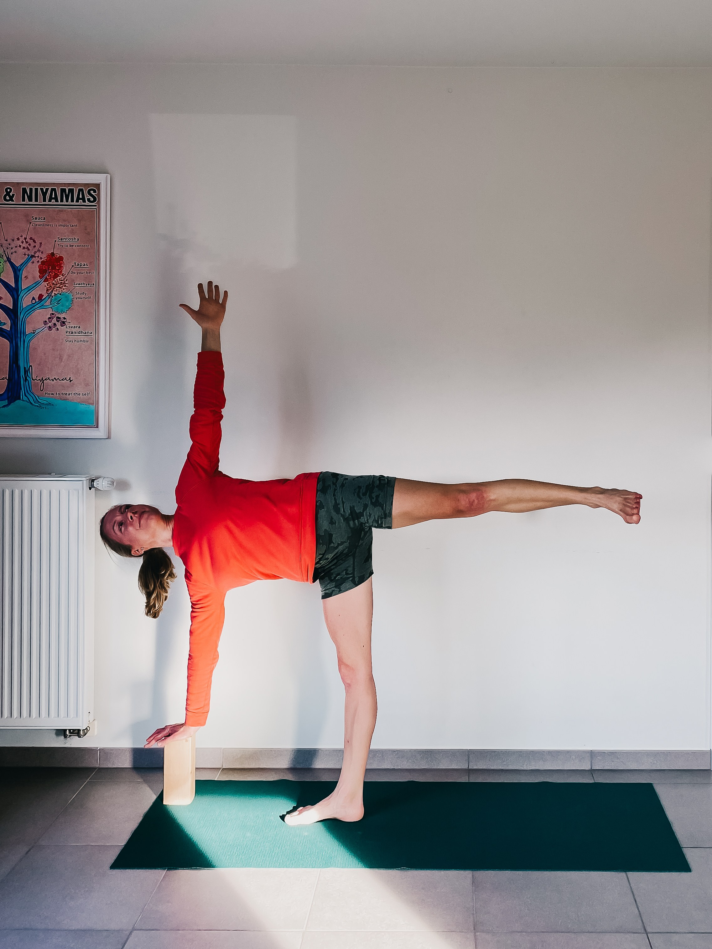 Sandra, Belgium — Online Photo Session. Creative Family, Brand, Boudoir and Wedding Photographer in Solihull & Birmingham Irina Zoteeva