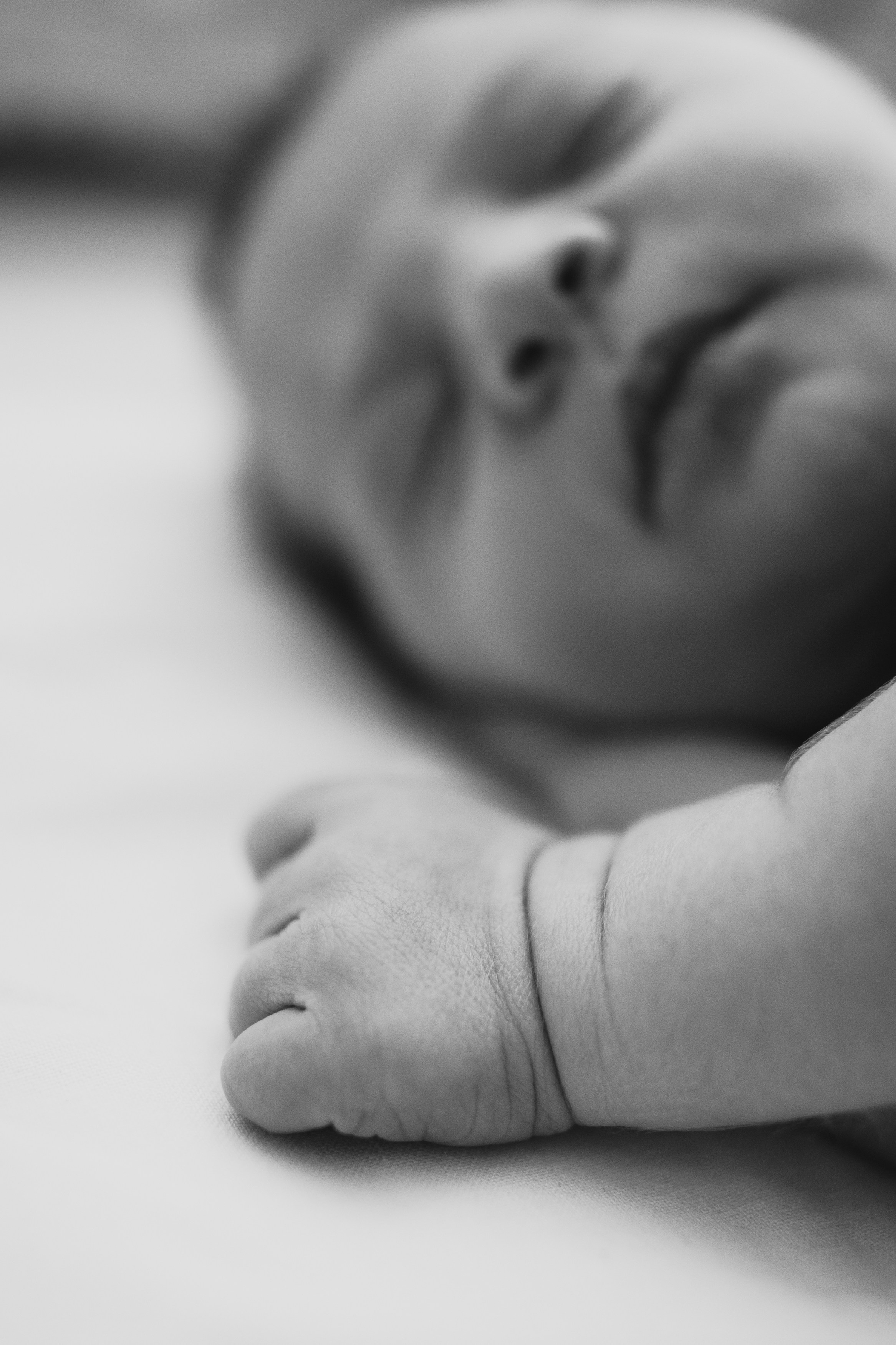 Fresh 48. Fotografka Andrea Hlaváčová / Karlovarský kraj / Karlovy Vary Sokolov