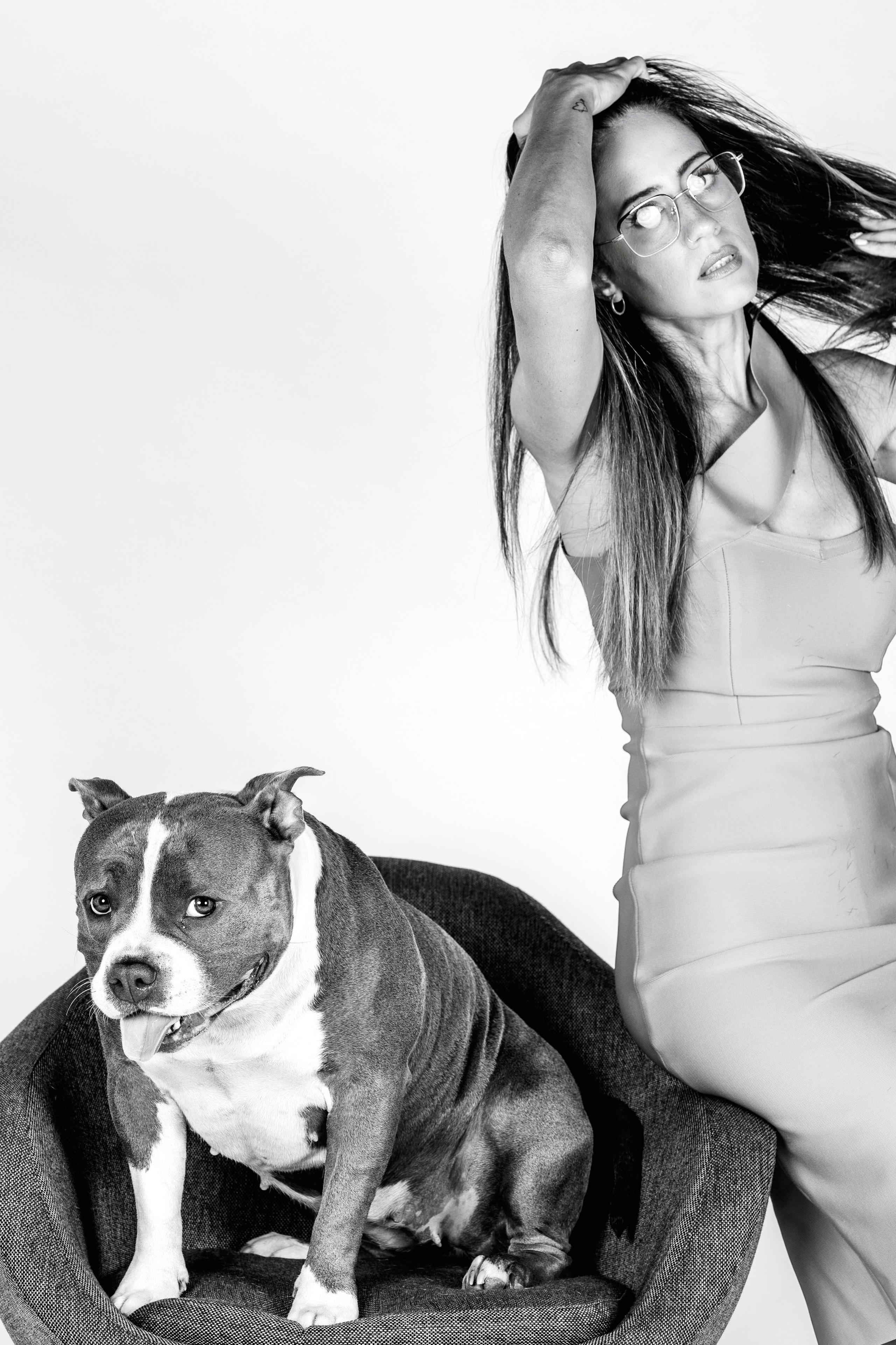 Fotografía de Mascotas en Madrid - Rainbox. Rainbox Estudio de Fotografía