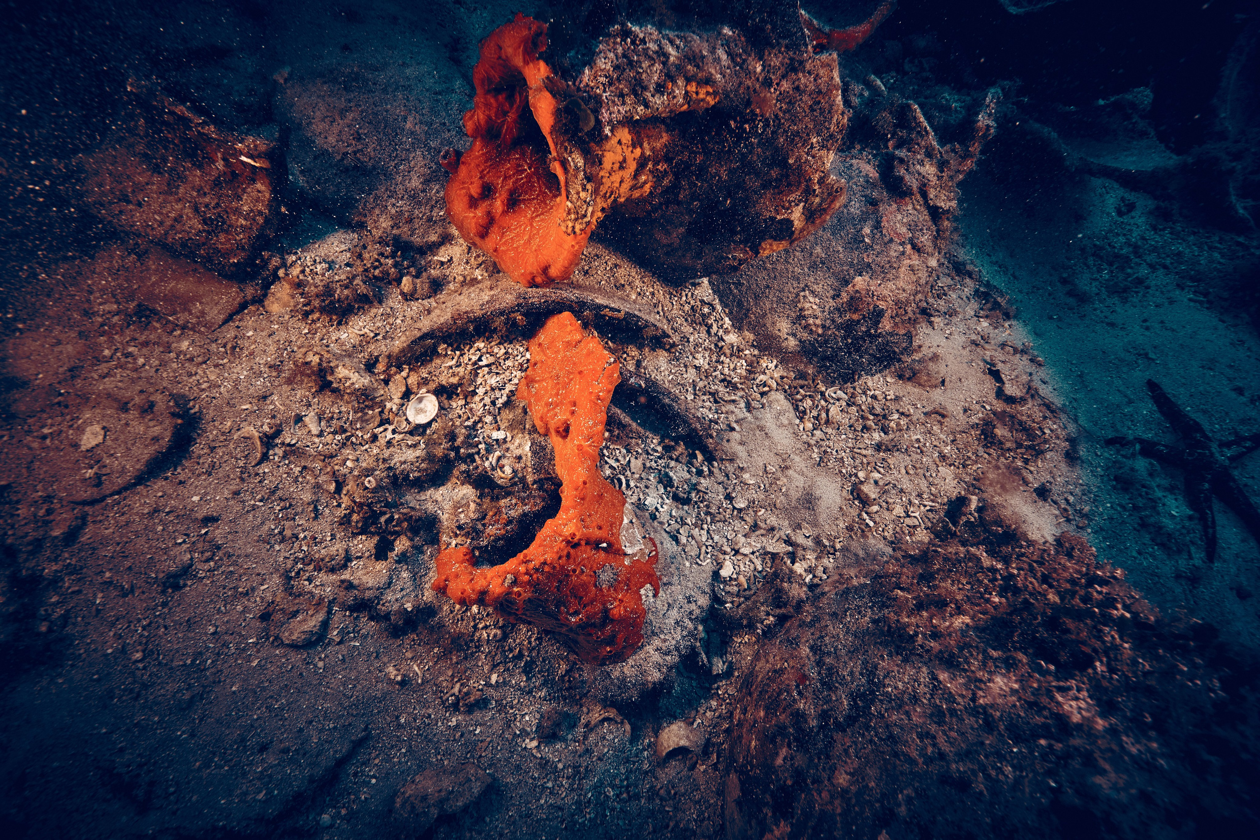 Podwodny fotograf - Andriej Szypilow - underwater photography. Tajemnica - wielka, głęboka i wszechobecna - to jest ta jakość, której przede wszystkim szukam w fotografii podwodnej...