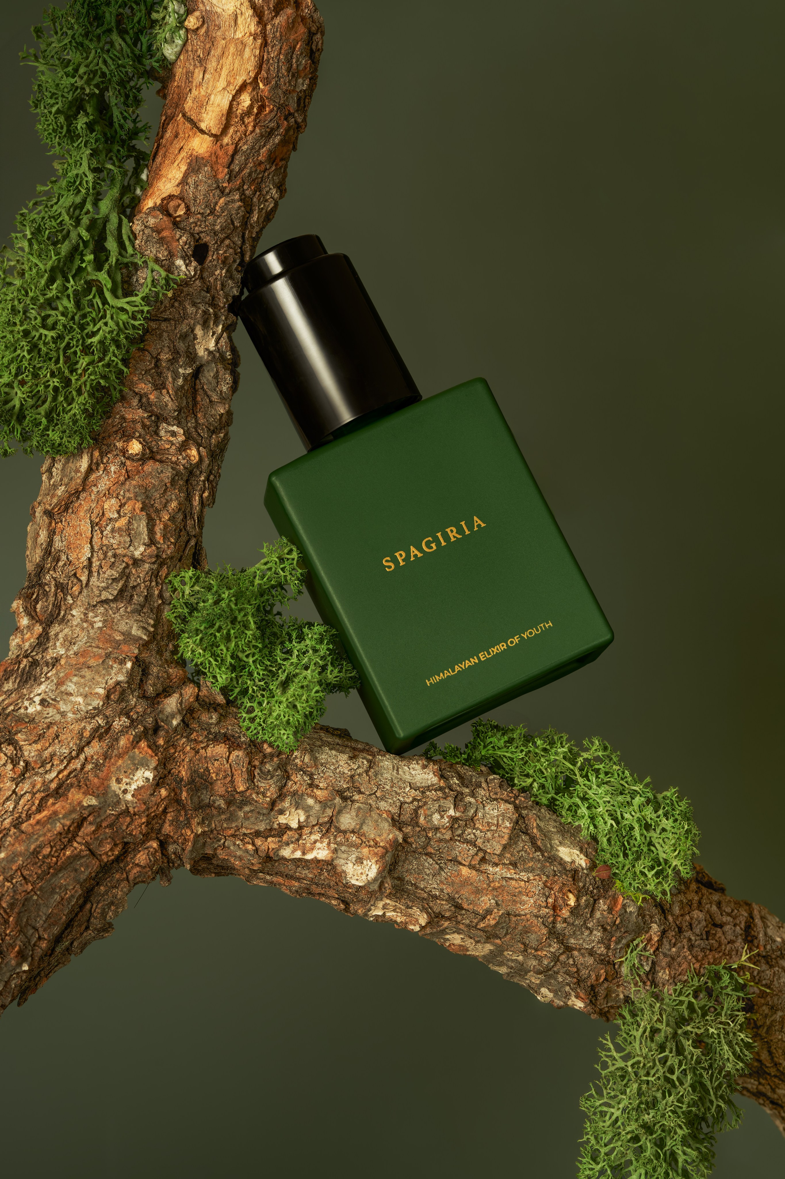 High-quality cosmetic photography