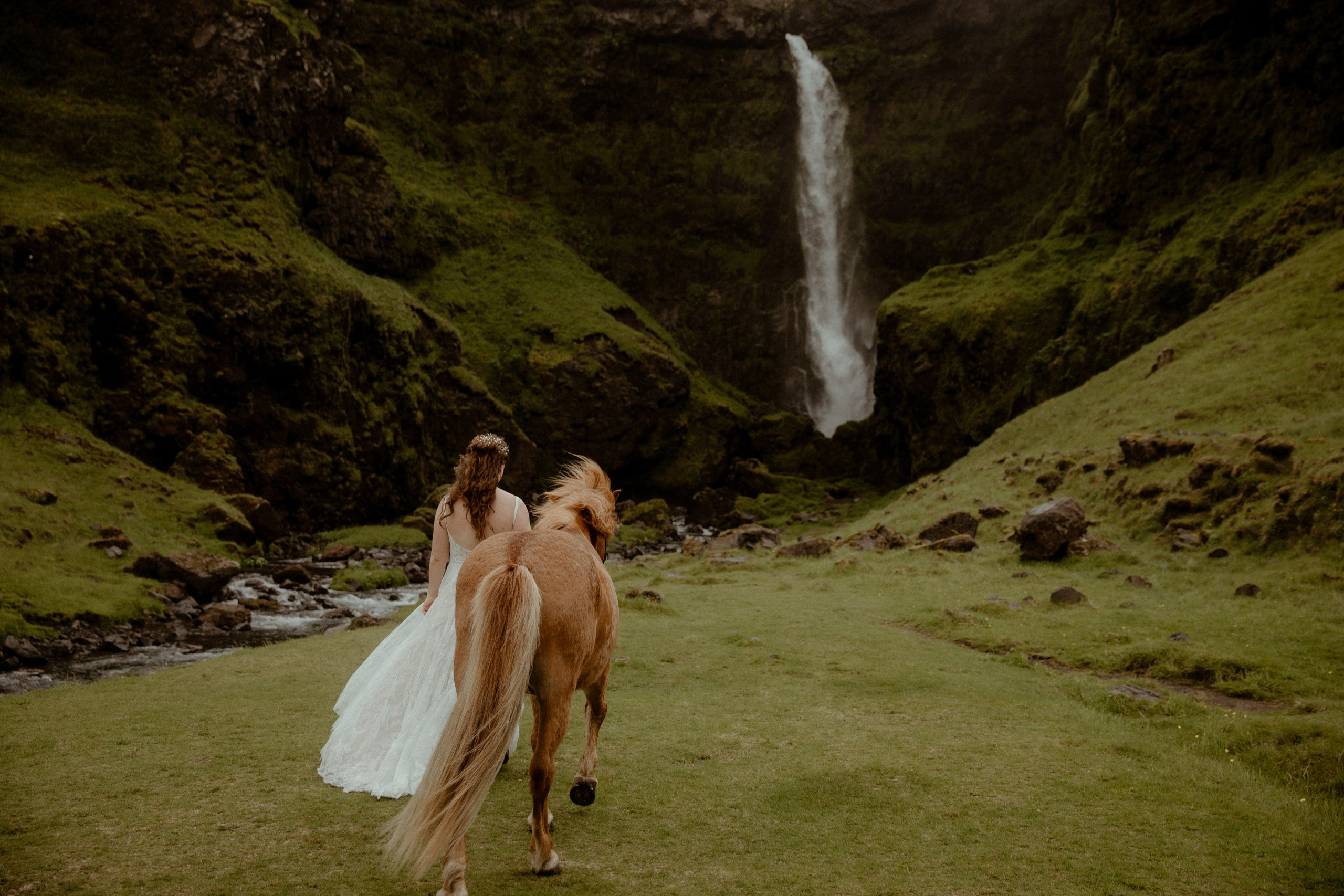 Iceland Elopement at Black Sand Beach. Iceland elopement photo and video | Nikolaichik Photo