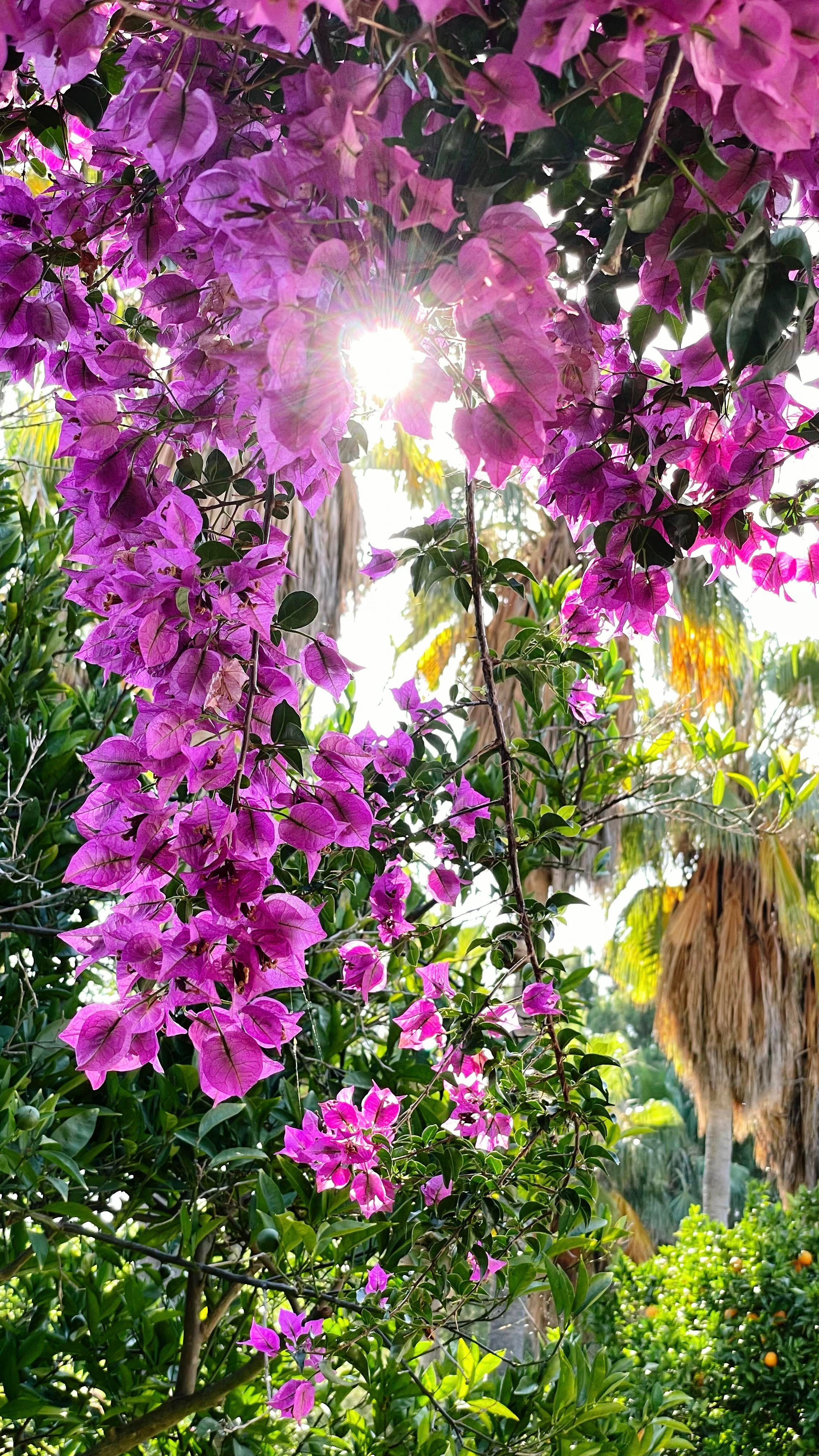 Йога-Ретрит в Турции